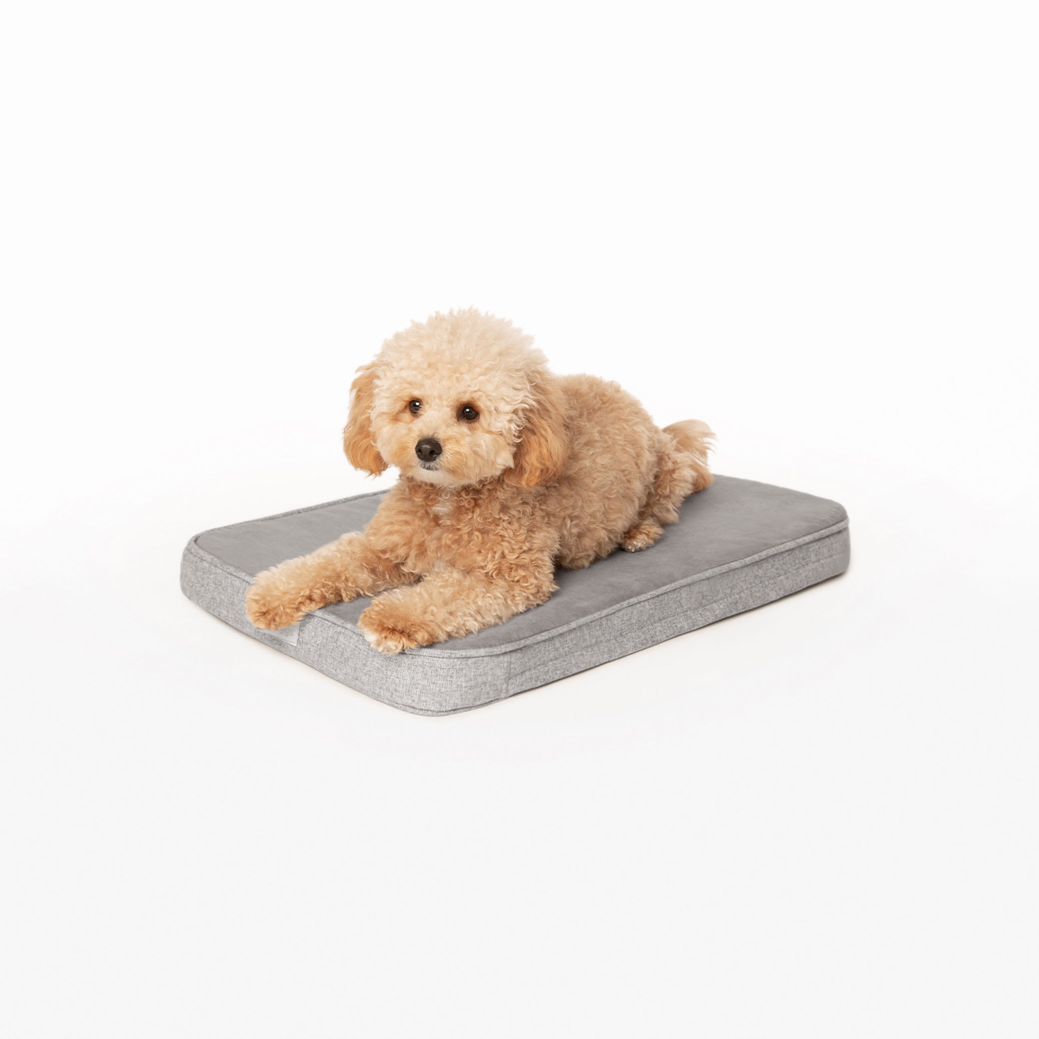 Diggs Snooz CertiPURUS Memory Foam Dog Crate Pad Bed, 25" L X 16" W X