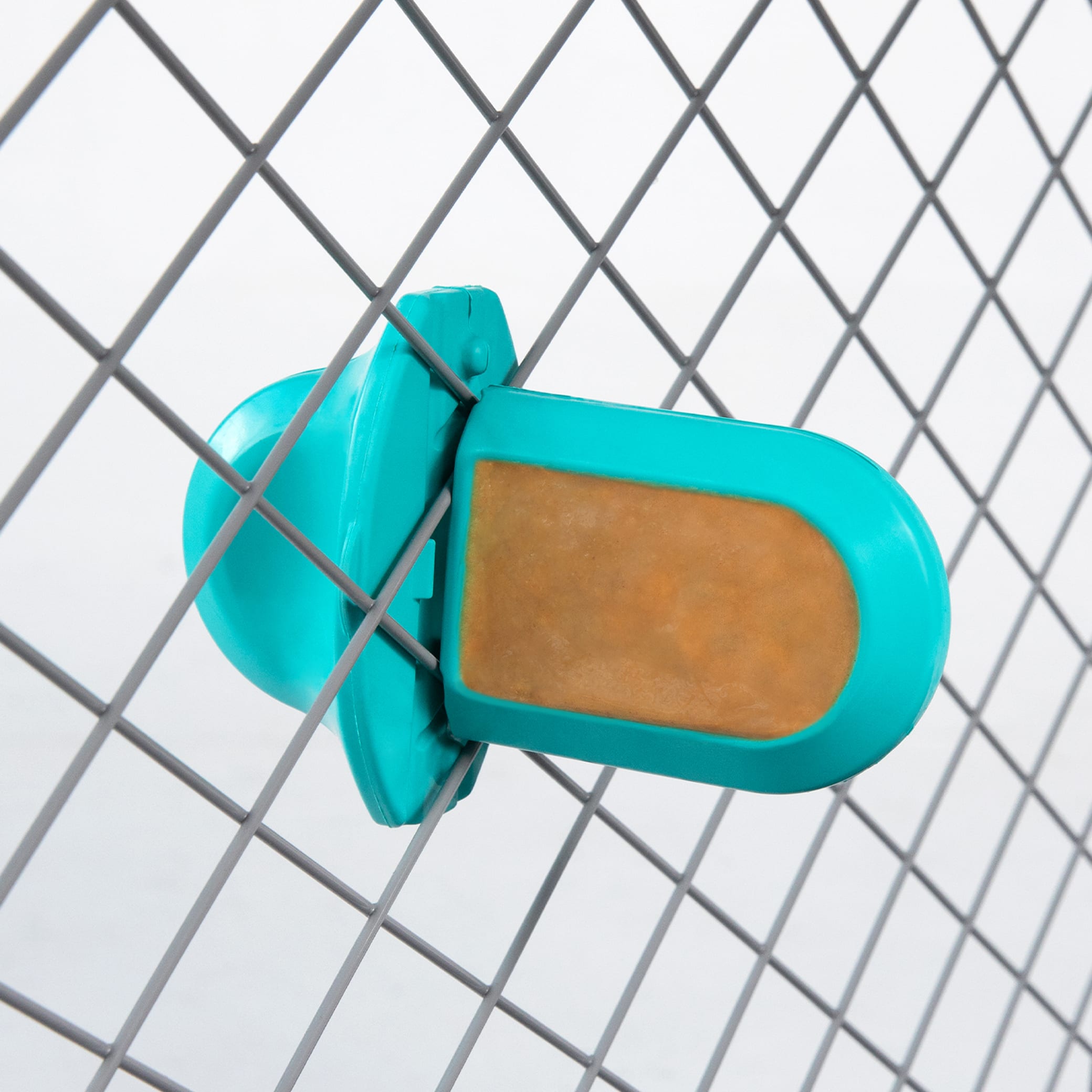 Diggs Groov Crate Training Aid - Turquoise