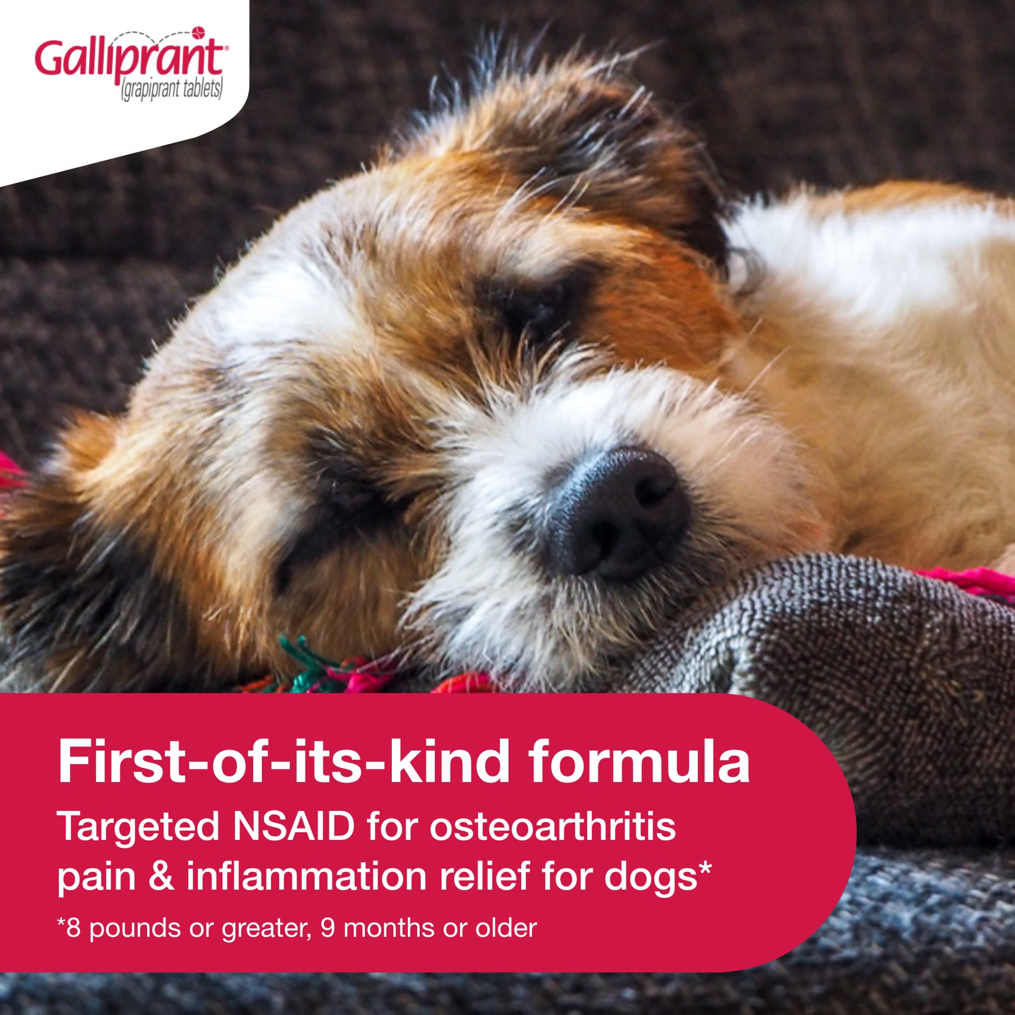 Galliprant 20mg 2024 for dogs