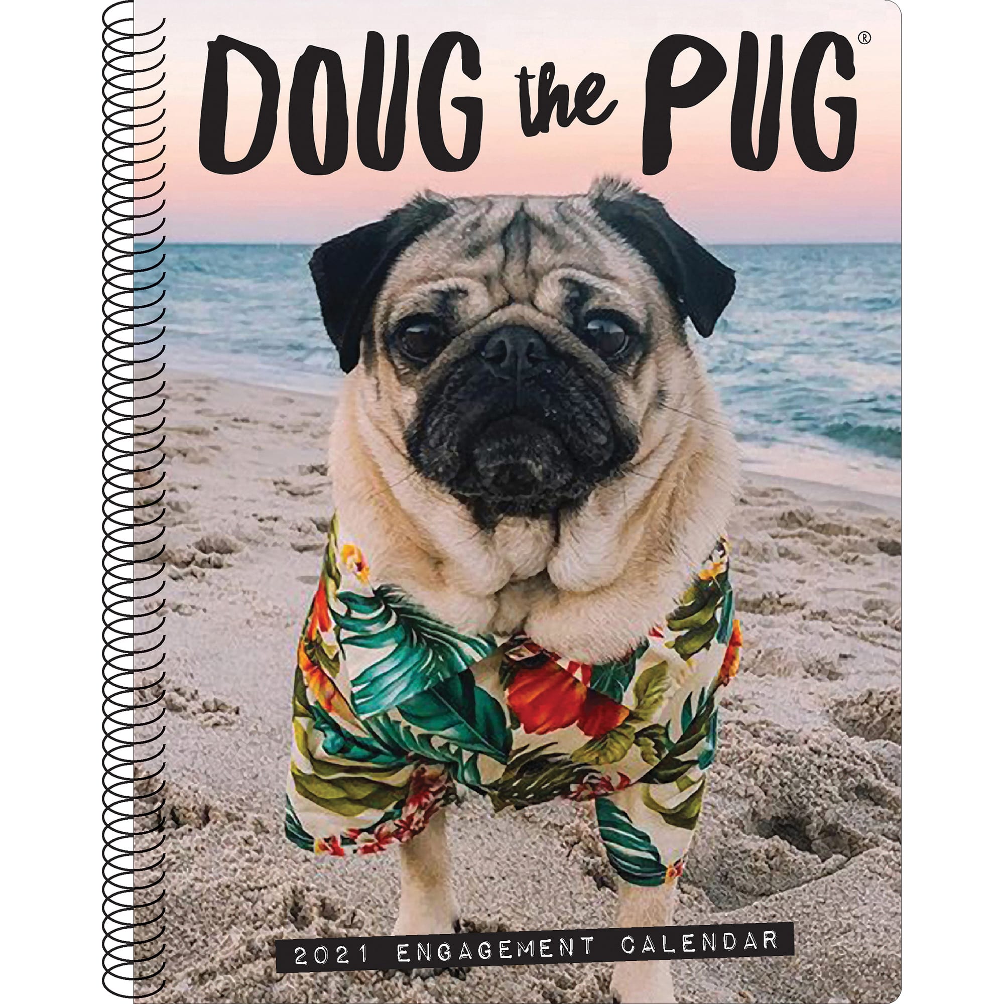 doug the pug stuff