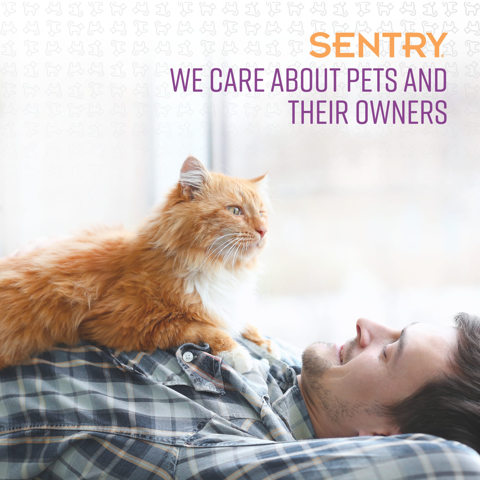 Sentry stop that cats sales
