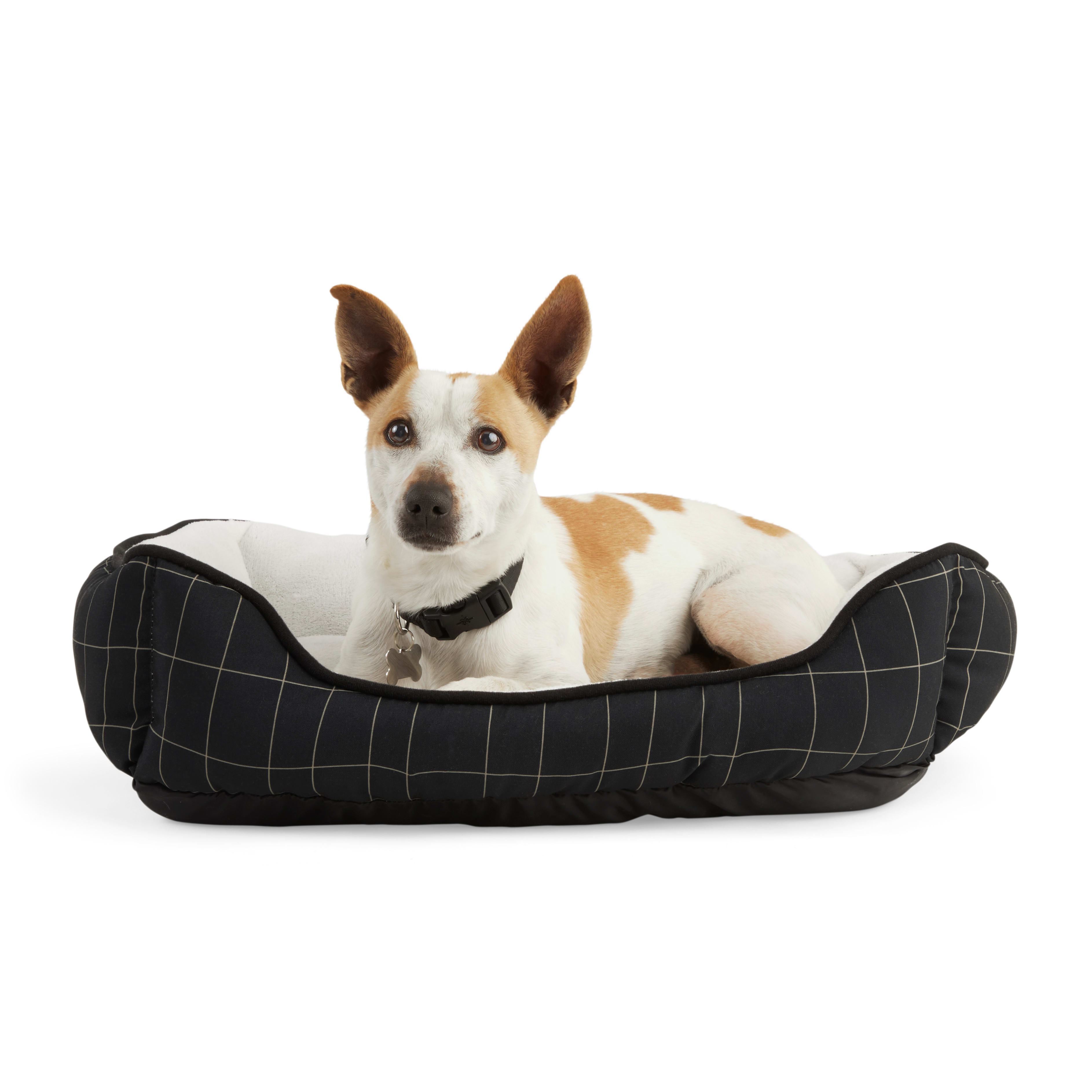 EveryYay Essentials Snooze Fest Black WindowpanePrint Dog Bed, 24" L X