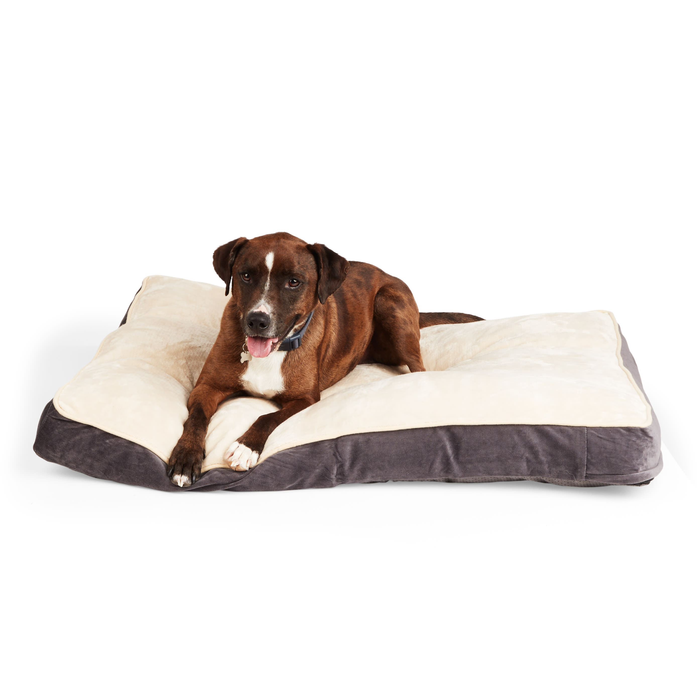 Kingpets memory hotsell foam dog bed