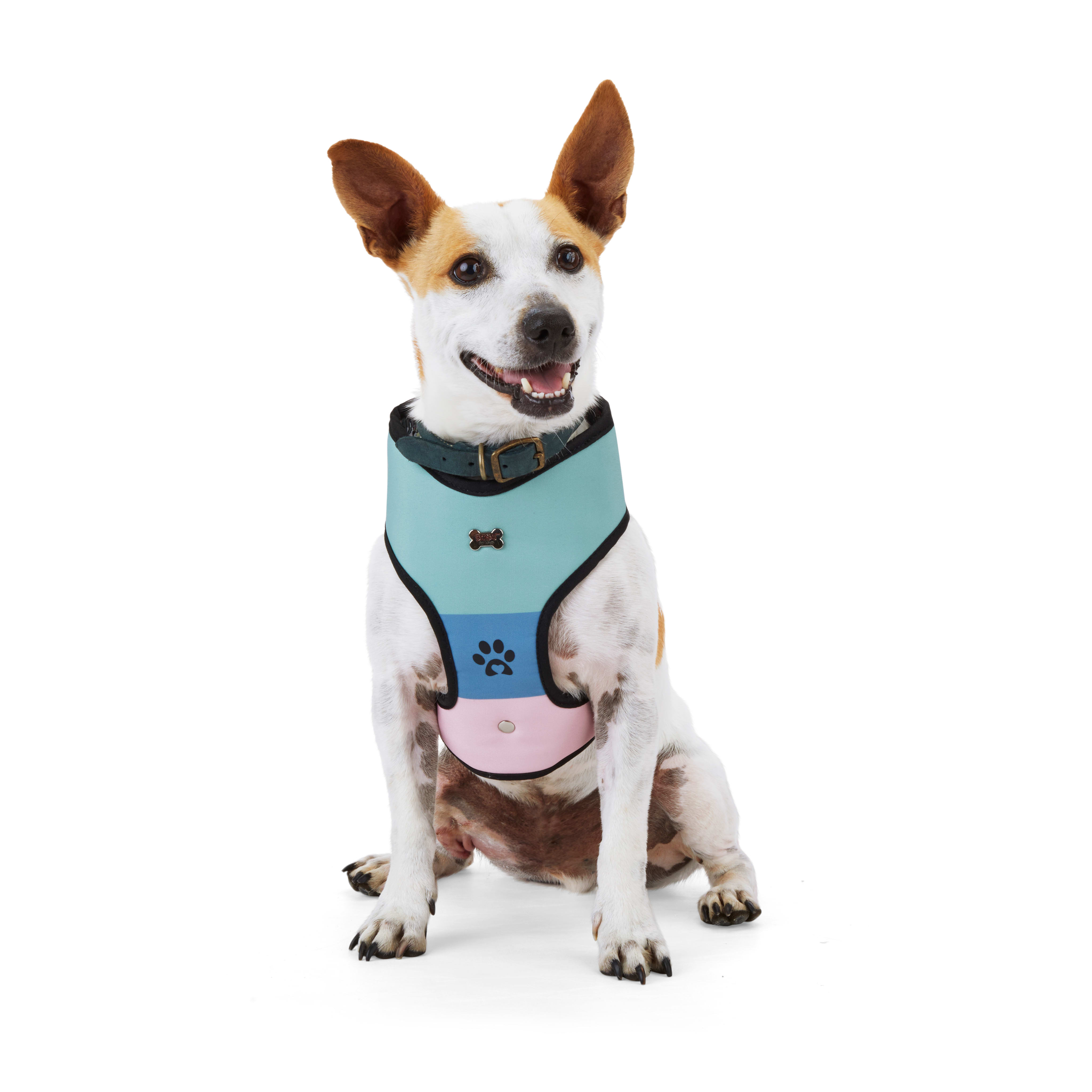 Skechers bobs 2025 for dogs harness