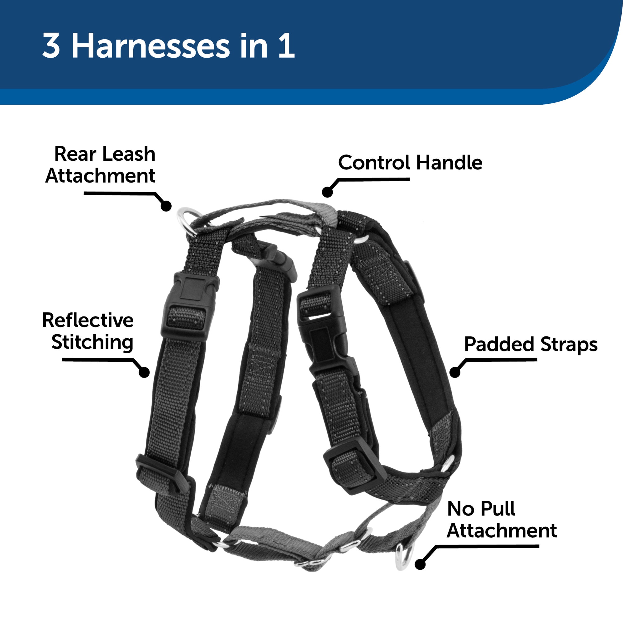 2 point hotsell control leash