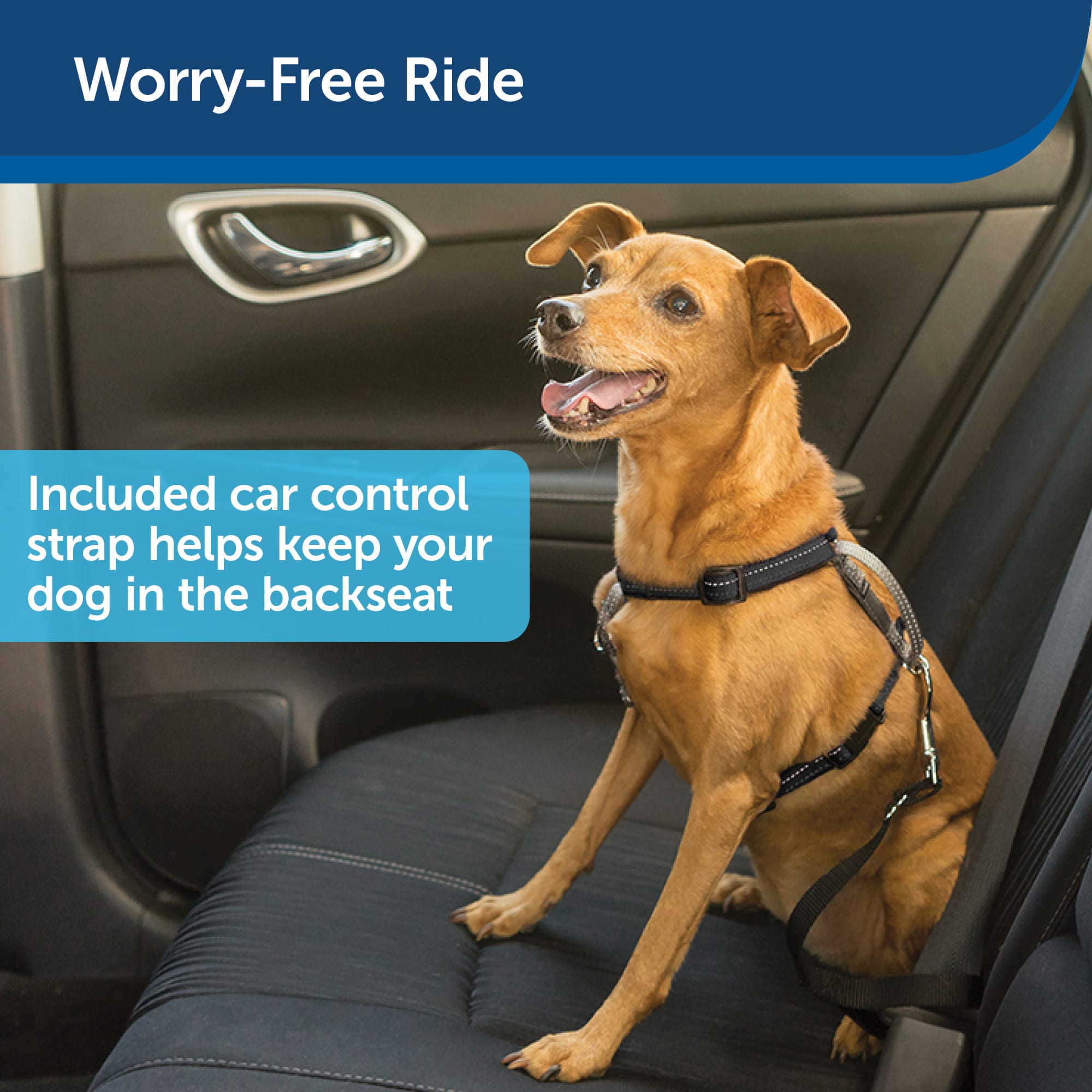 Petco car outlet harness