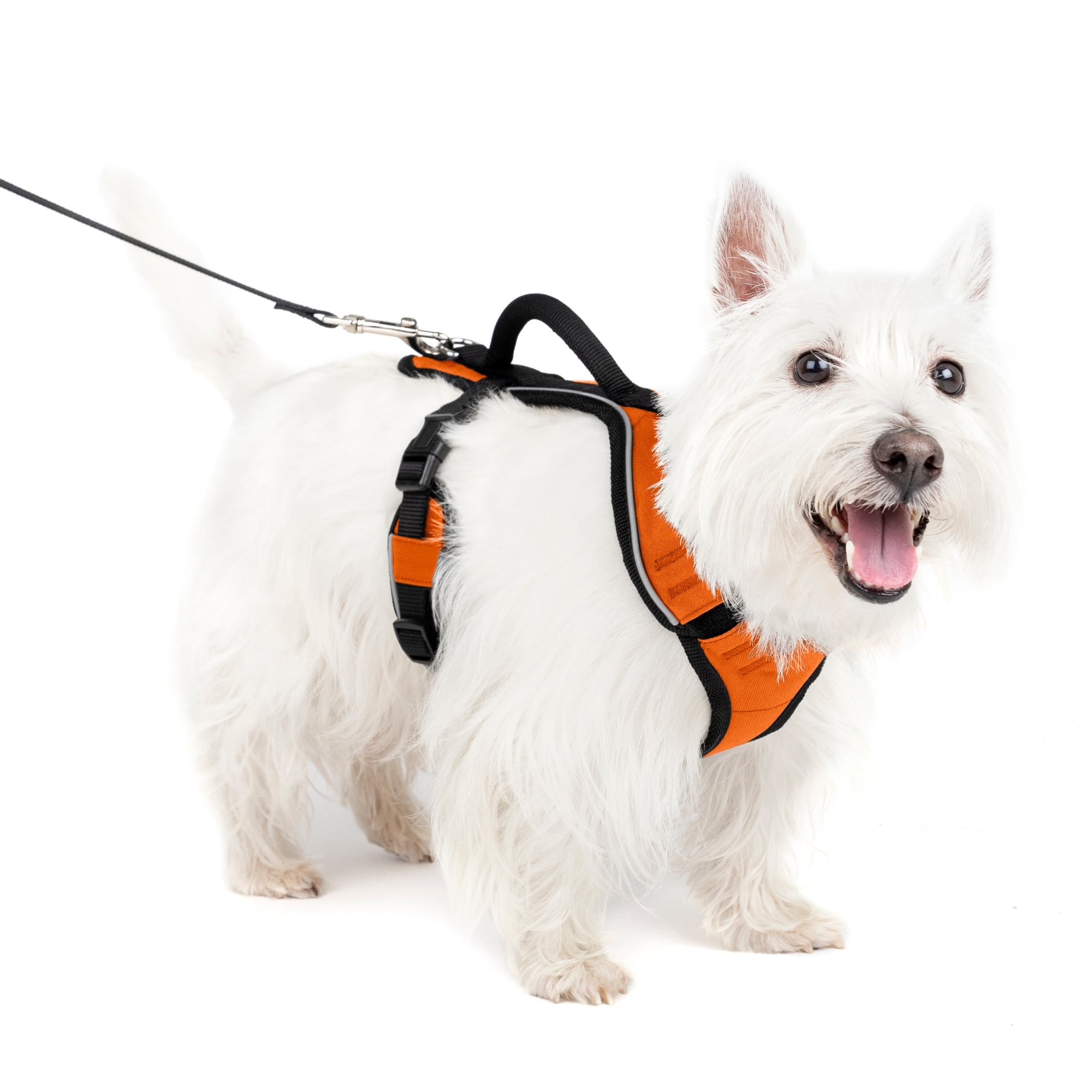 Petco service dog store harness