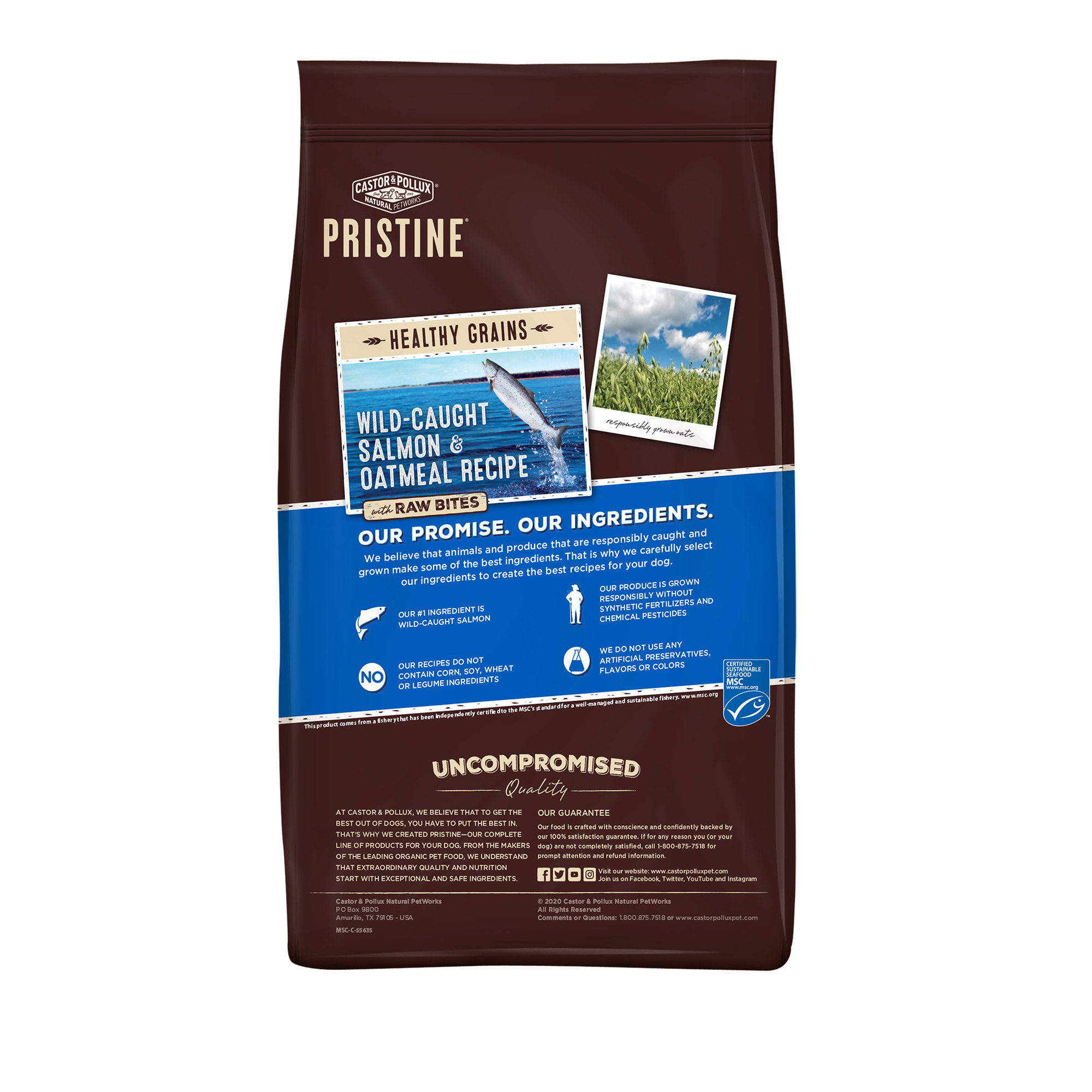 Castor pollux hot sale puppy food