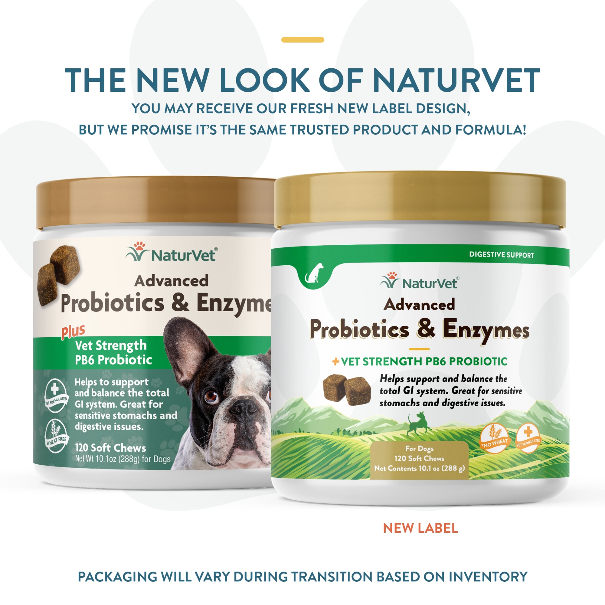 Medivet probiotic digestive hot sale balance for dogs