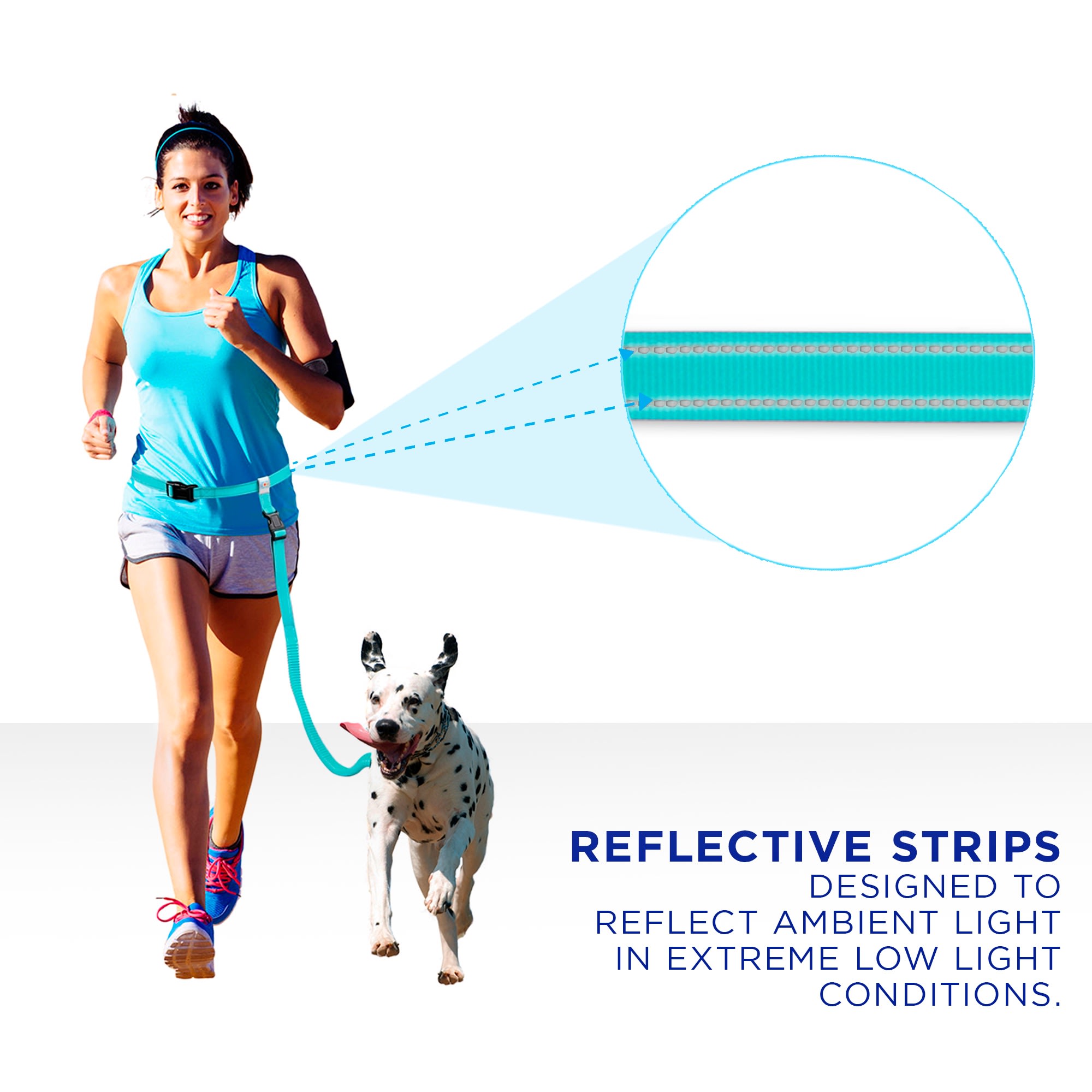 Petco hands free leash best sale