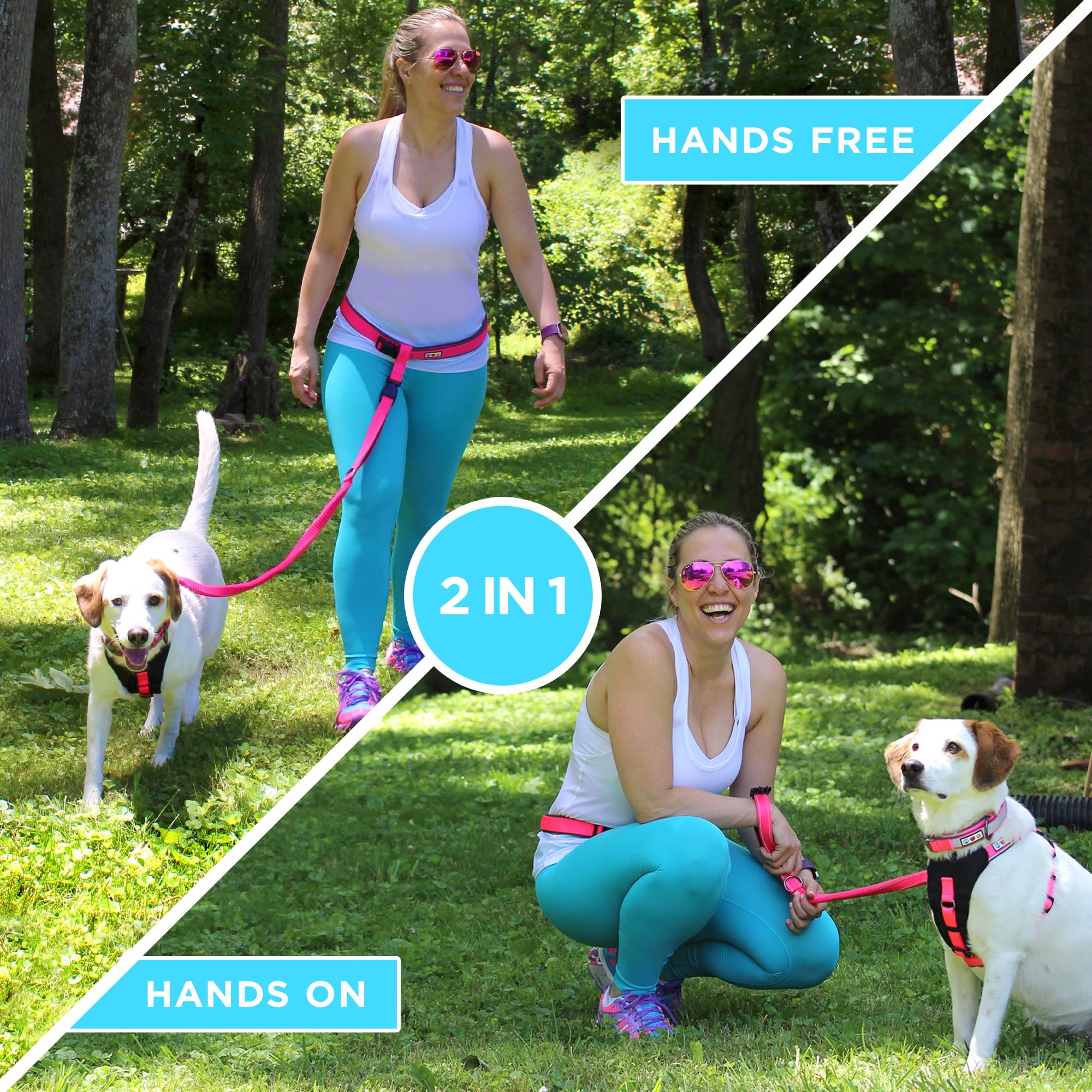 Petco hands 2025 free leash