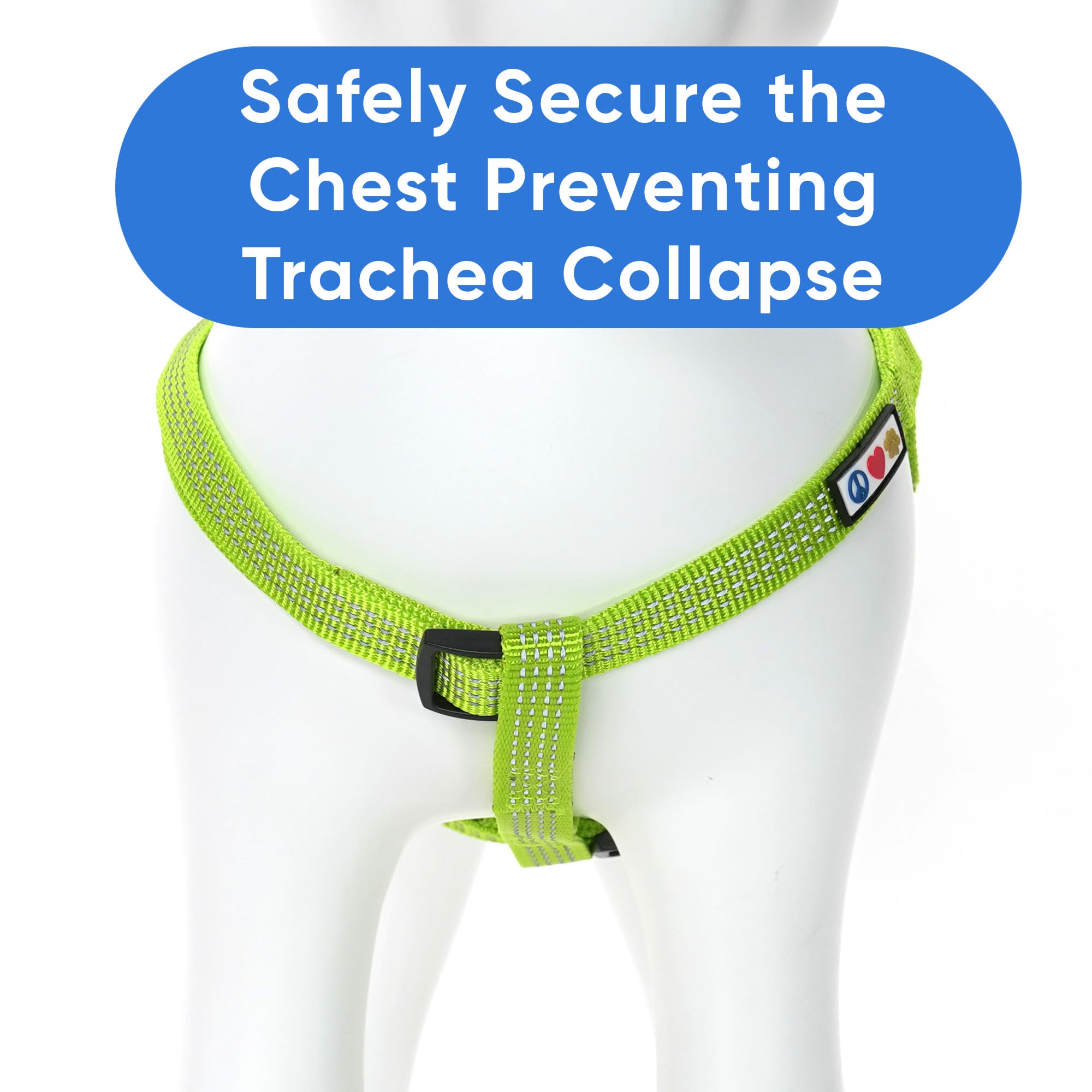 Trachea shop safe harness