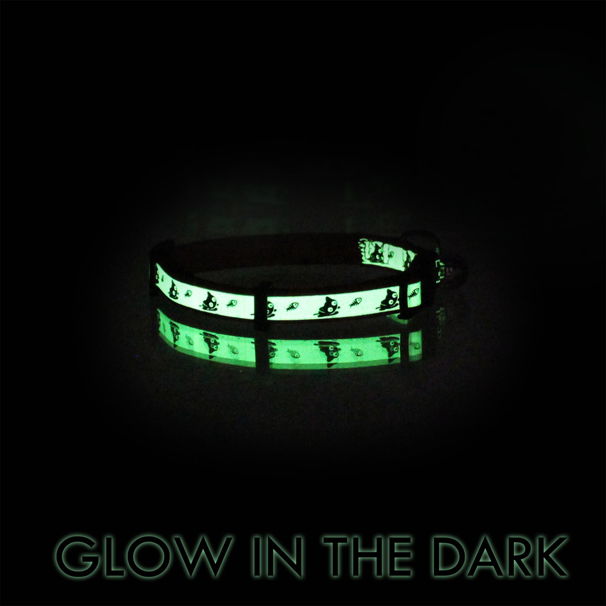 Glow in the clearance dark cat collar petco