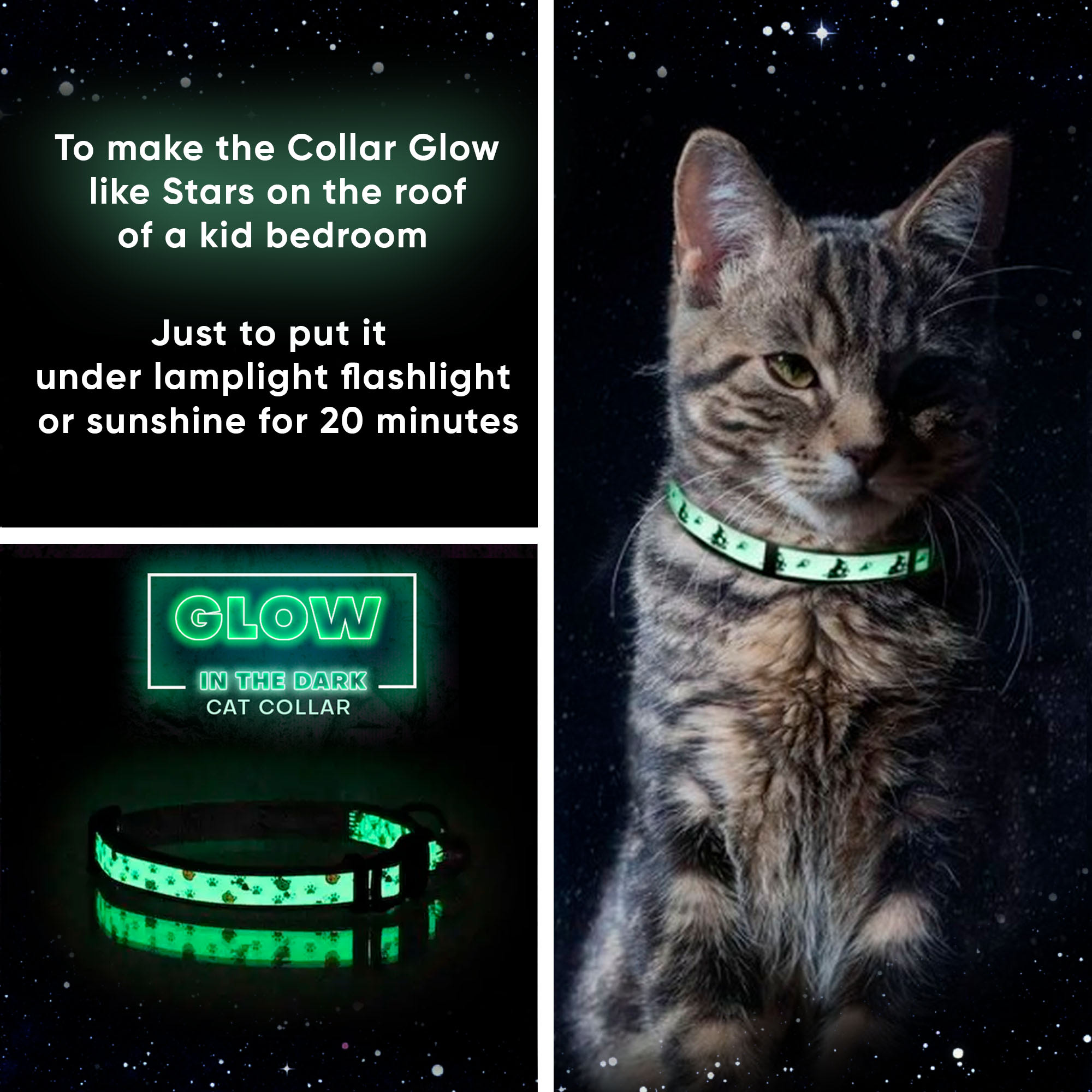 Glowing 2025 cat collar