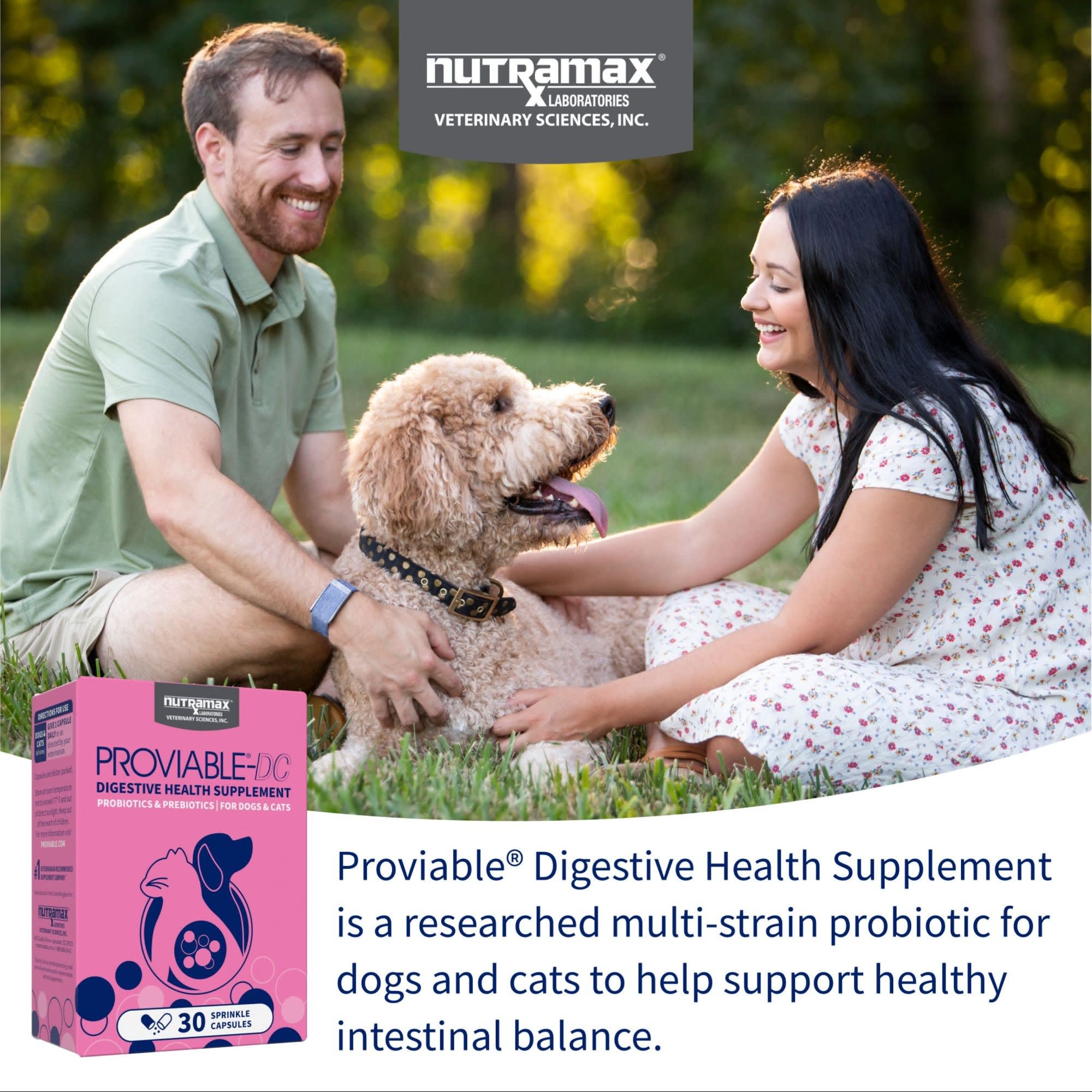 NUTRAMAX PROVIABLE Digestive Health Supplement Multi-Strain