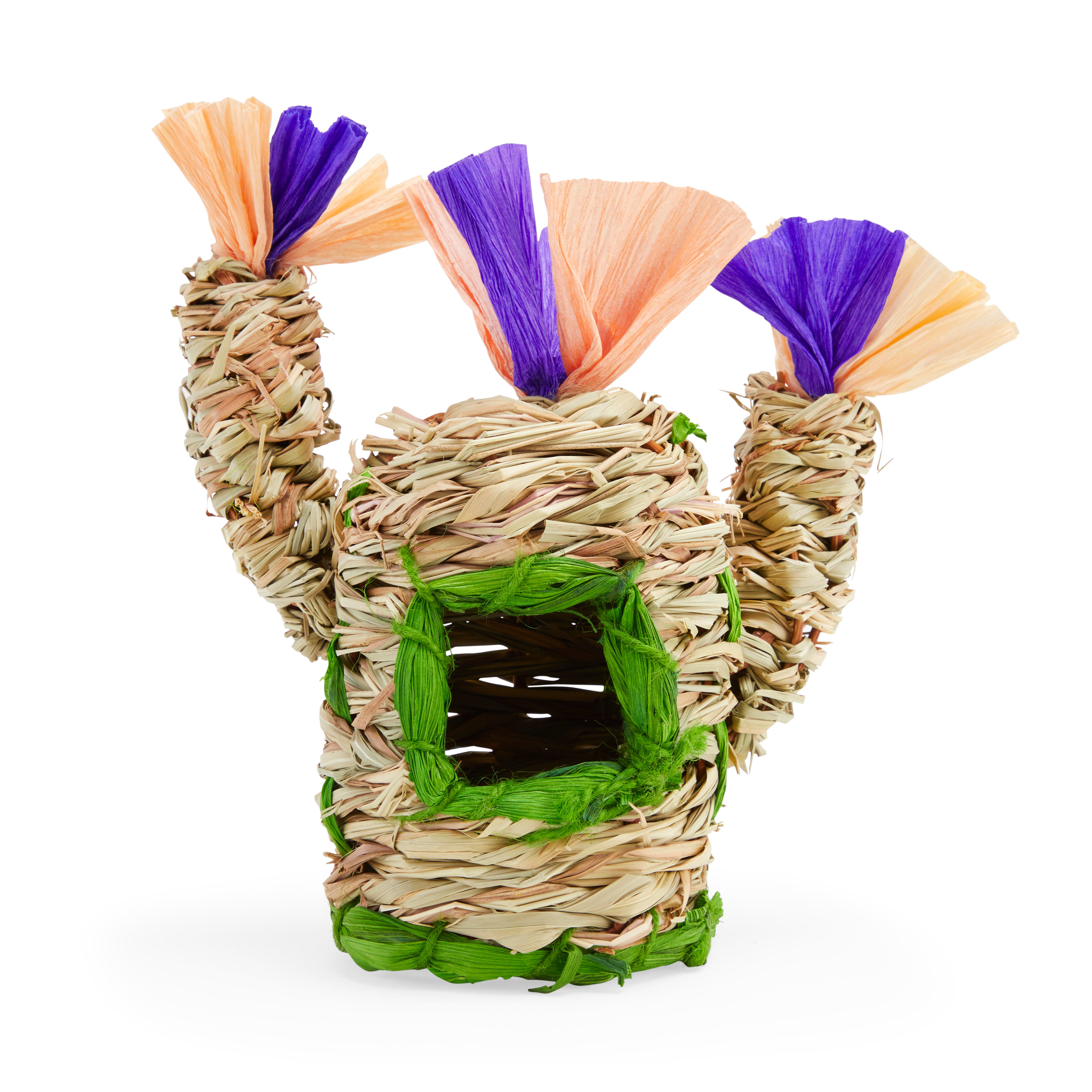 You & Me Small Animal Cactus Chewable Hideaway