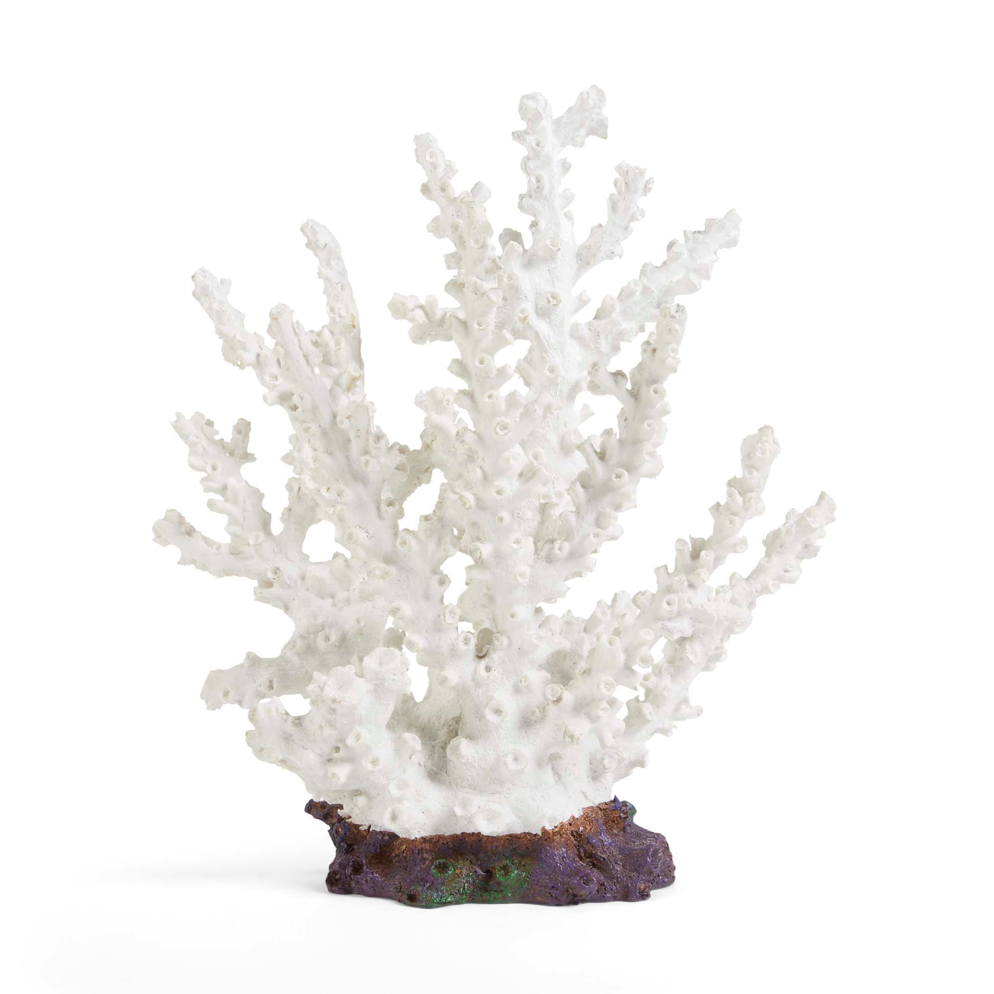 Geroosterd Televisie kijken plotseling Imagitarium White Coral Aquarium Decor, Large | Petco