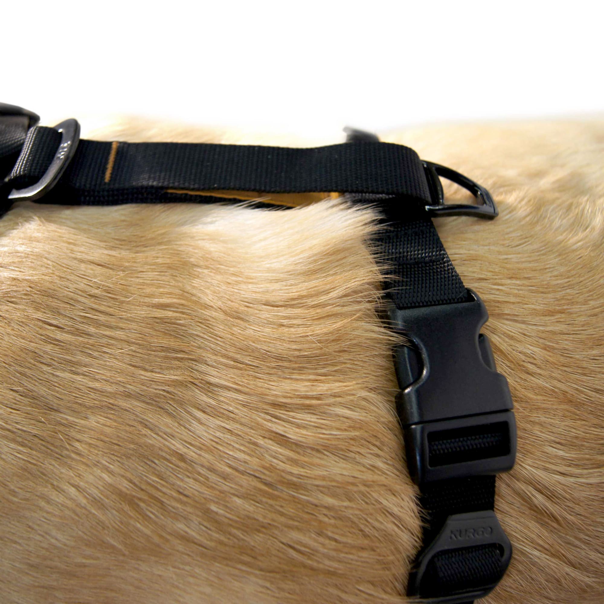Kurgo Tru-Fit Smart Hondenwandelharnas, snelsluiting