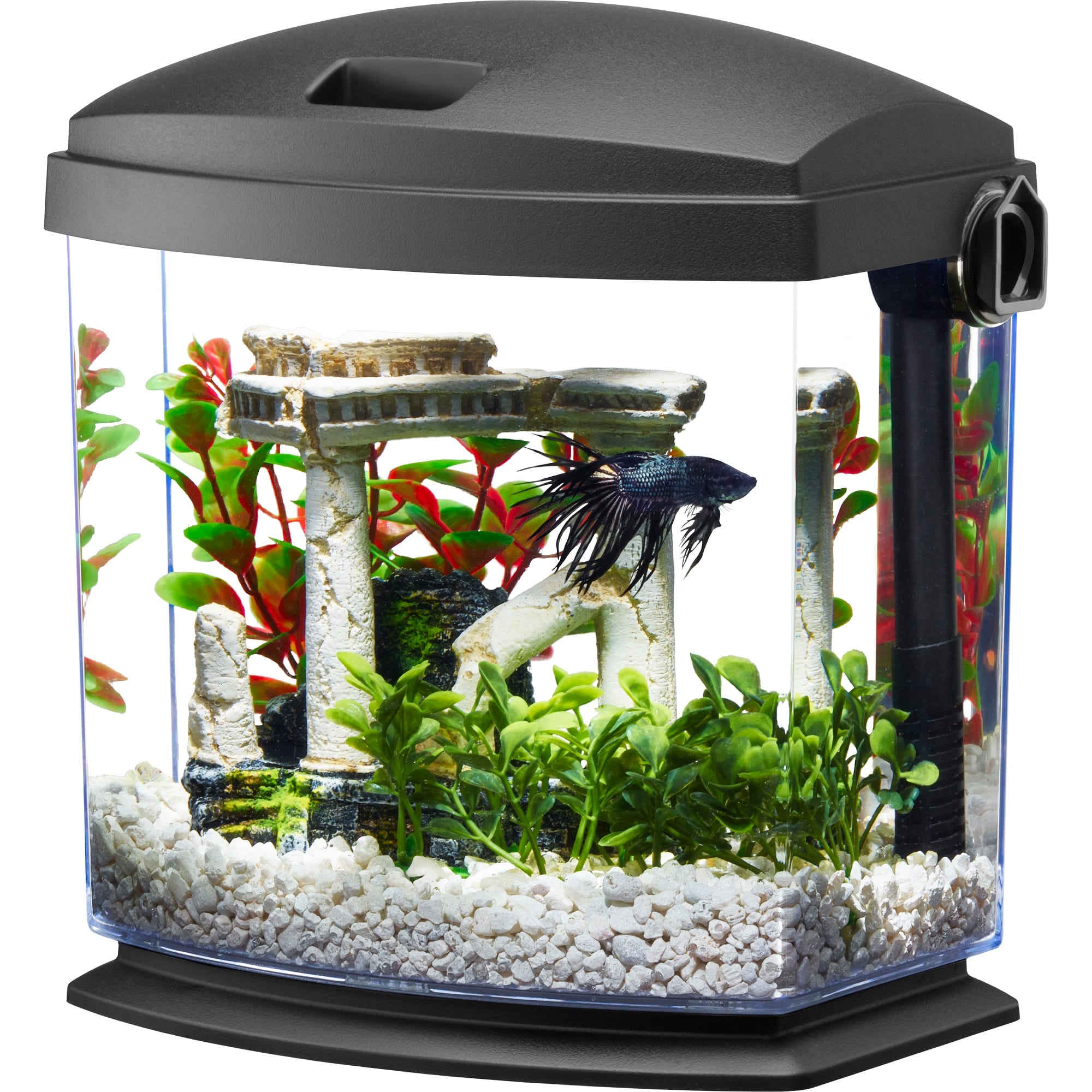 Aqueon Black 5 Gallon LED MiniBow SmartClean Kit