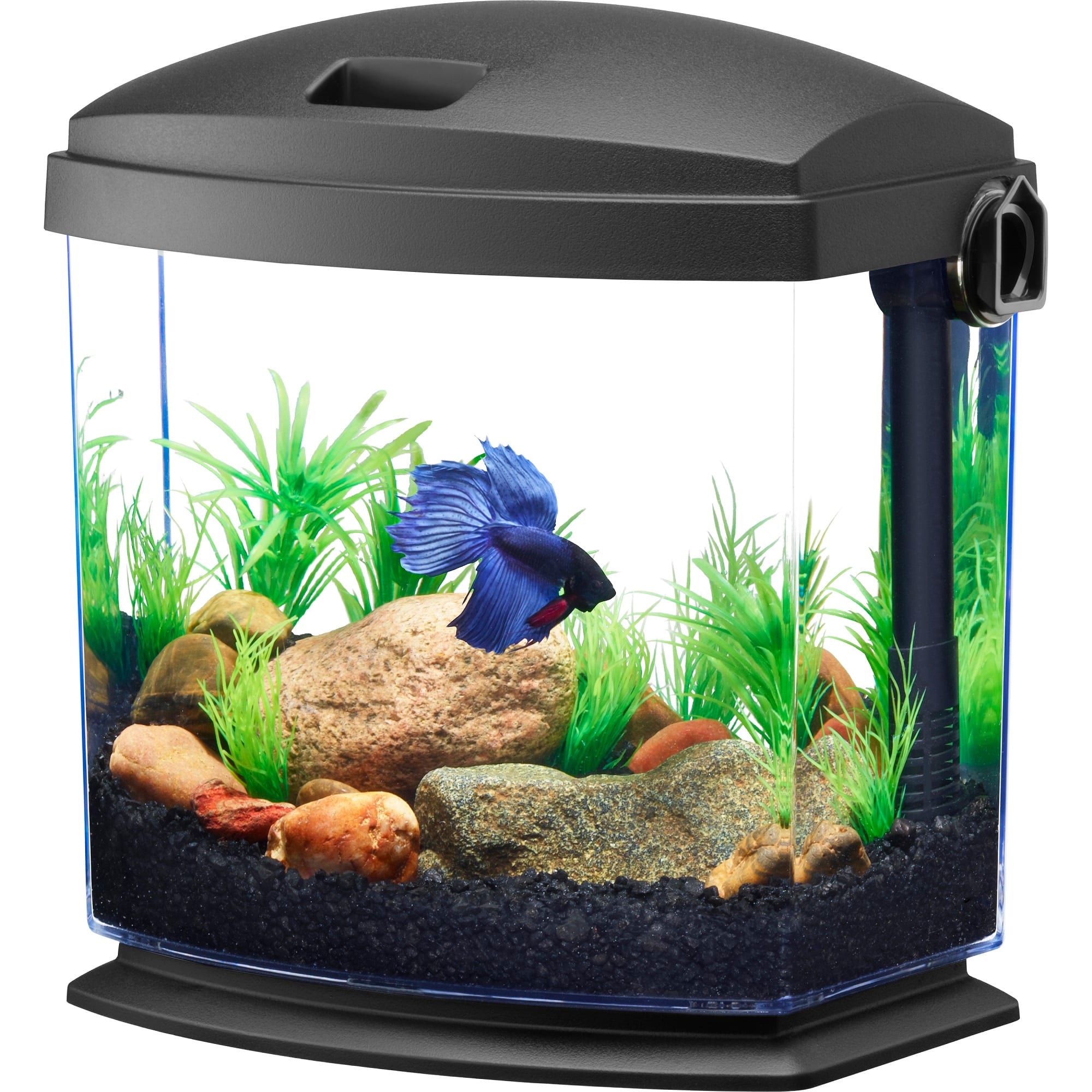  Small Fish Tank - Mini Betta Bow Tank Tiny Aquarium