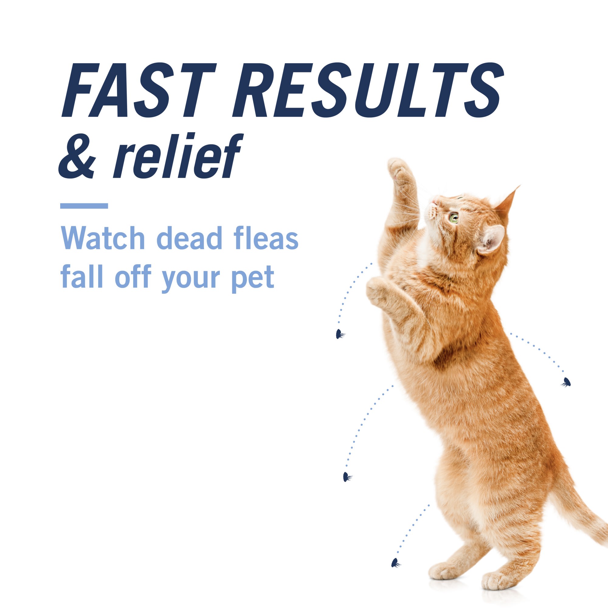 Fast acting shop oral flea treatment