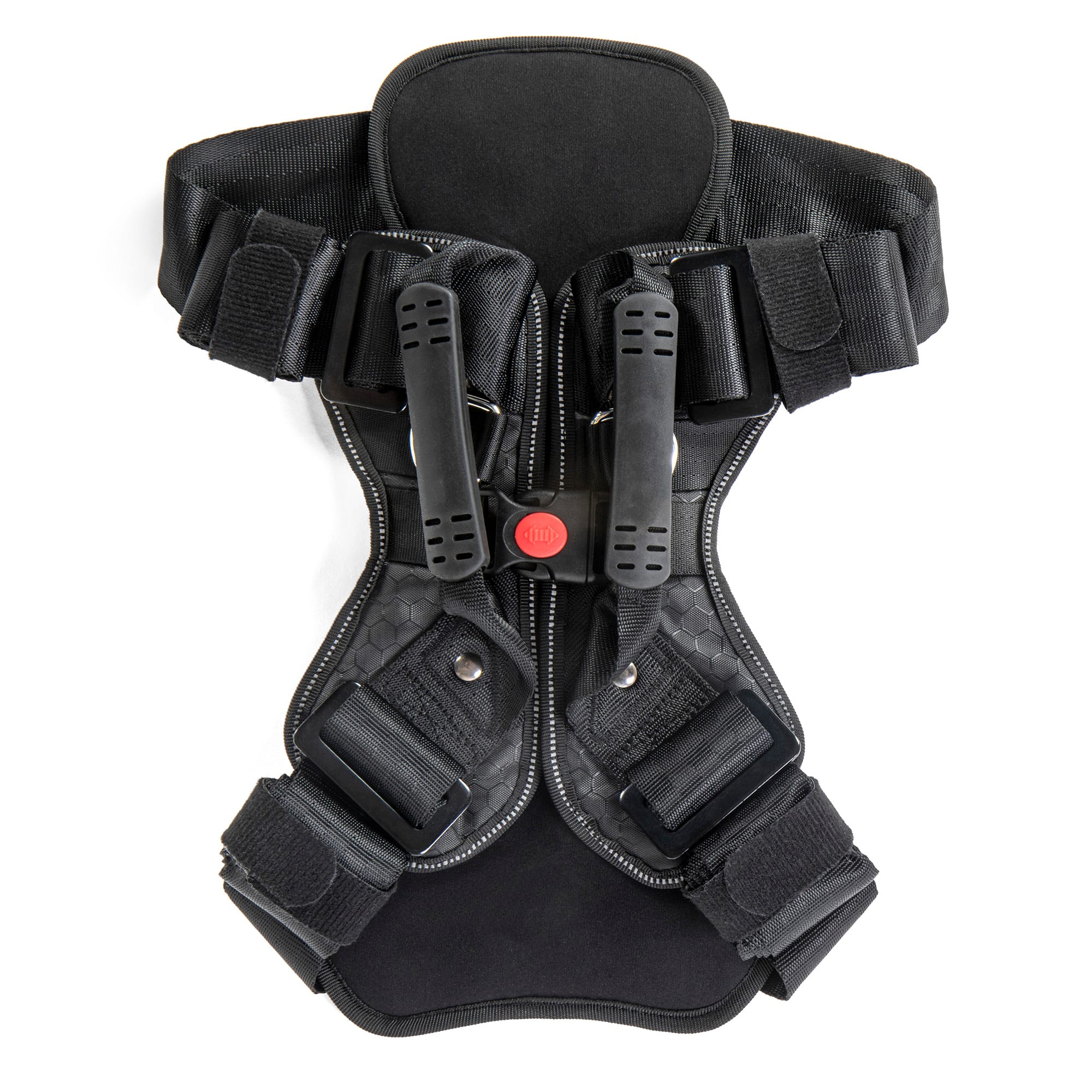 Petco knee clearance brace