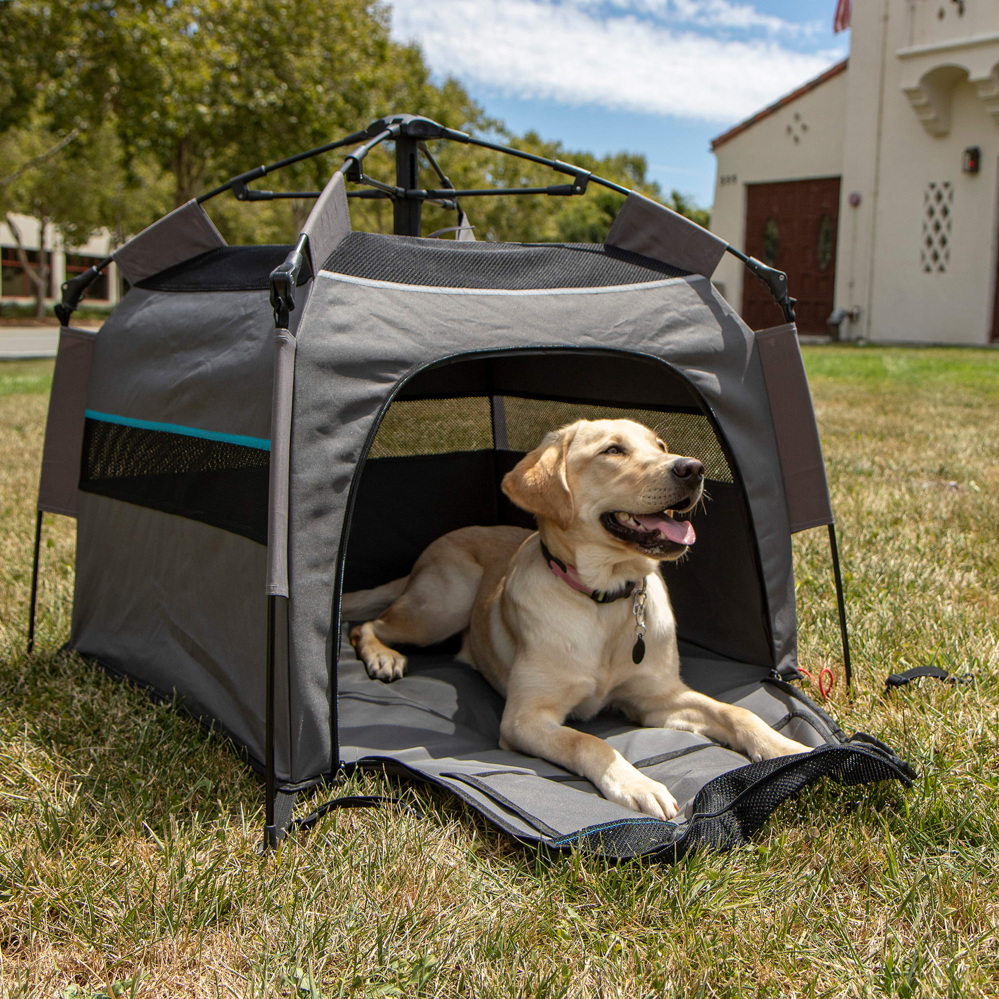 Sherpa Portable Tent and Containment System for Dogs Medium