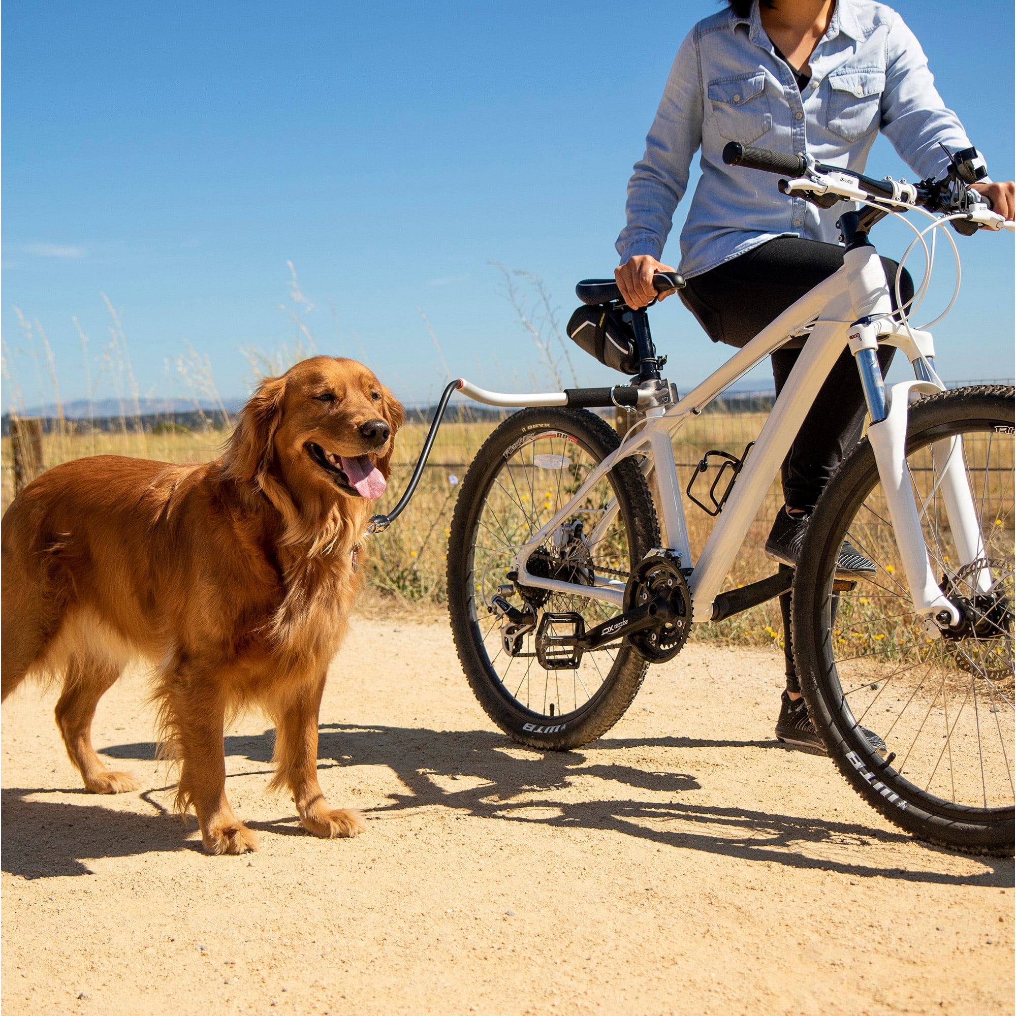 Cycle leash 2025 for dogs