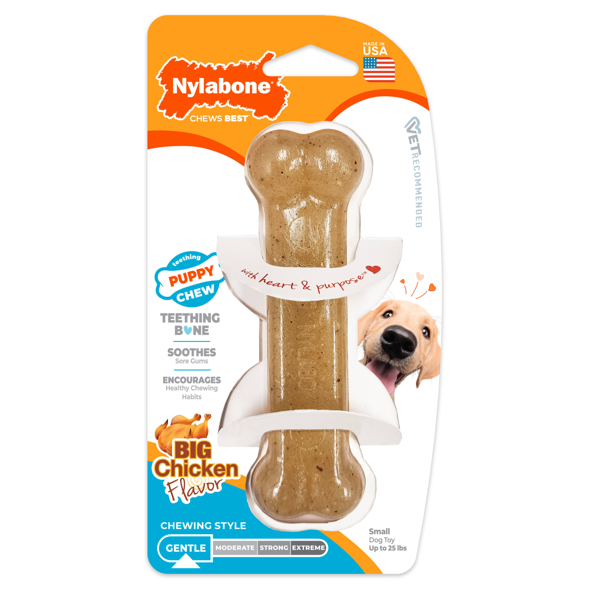 Nylabone Puppybone Regular Dog Chew Small Petco