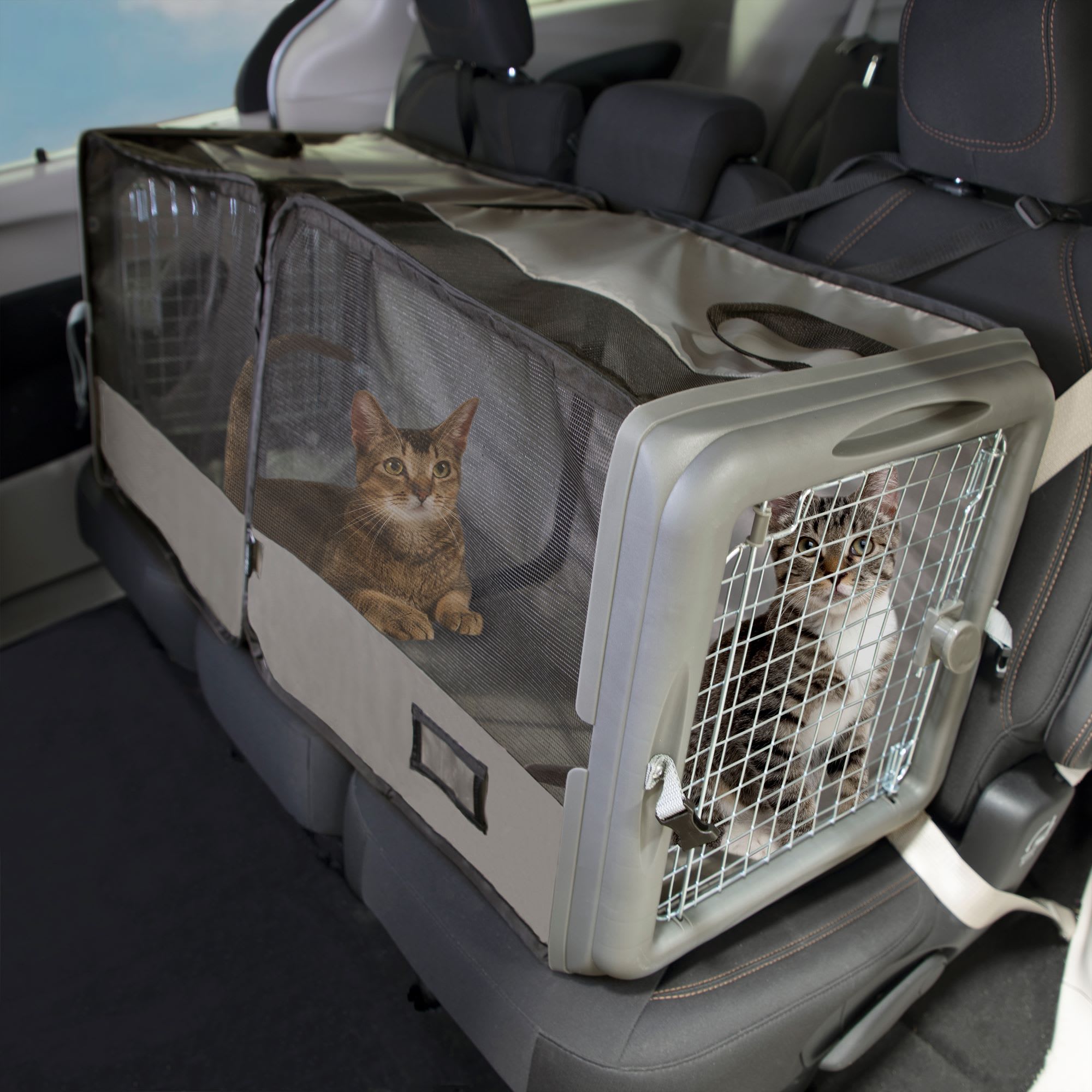 Best cat crate hot sale for car travel