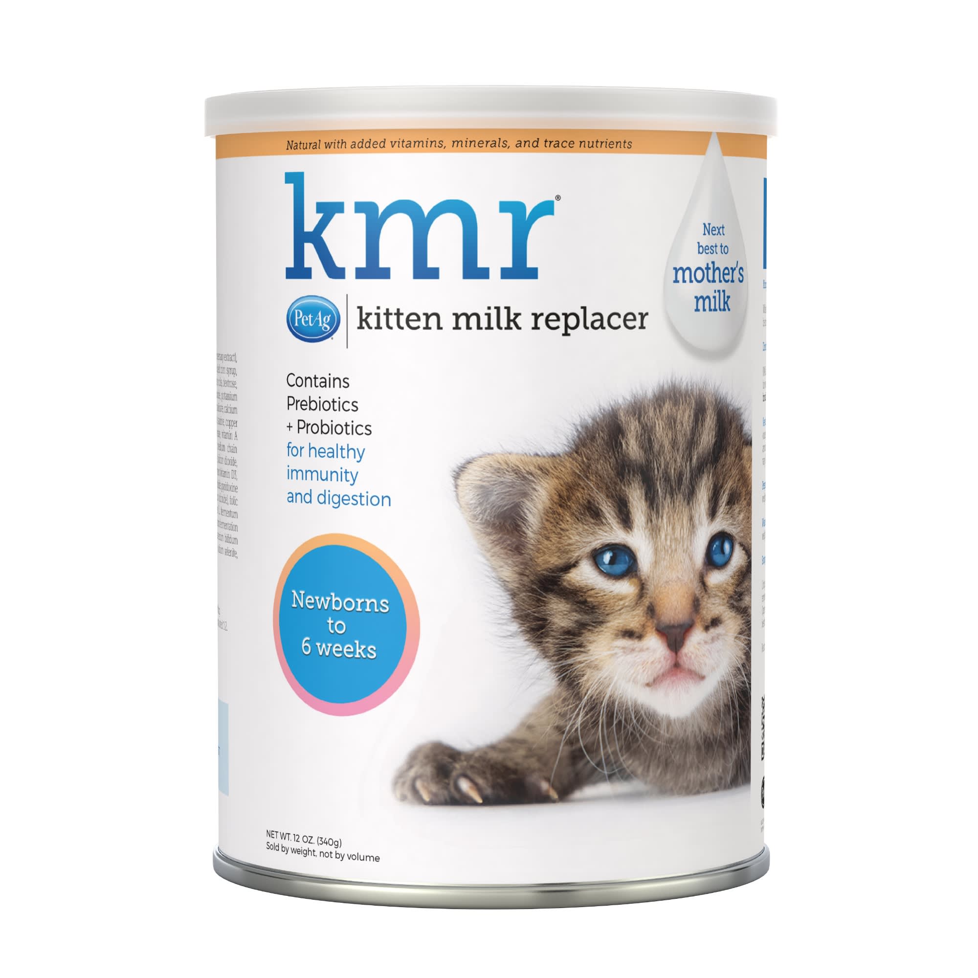 newborn kitten food