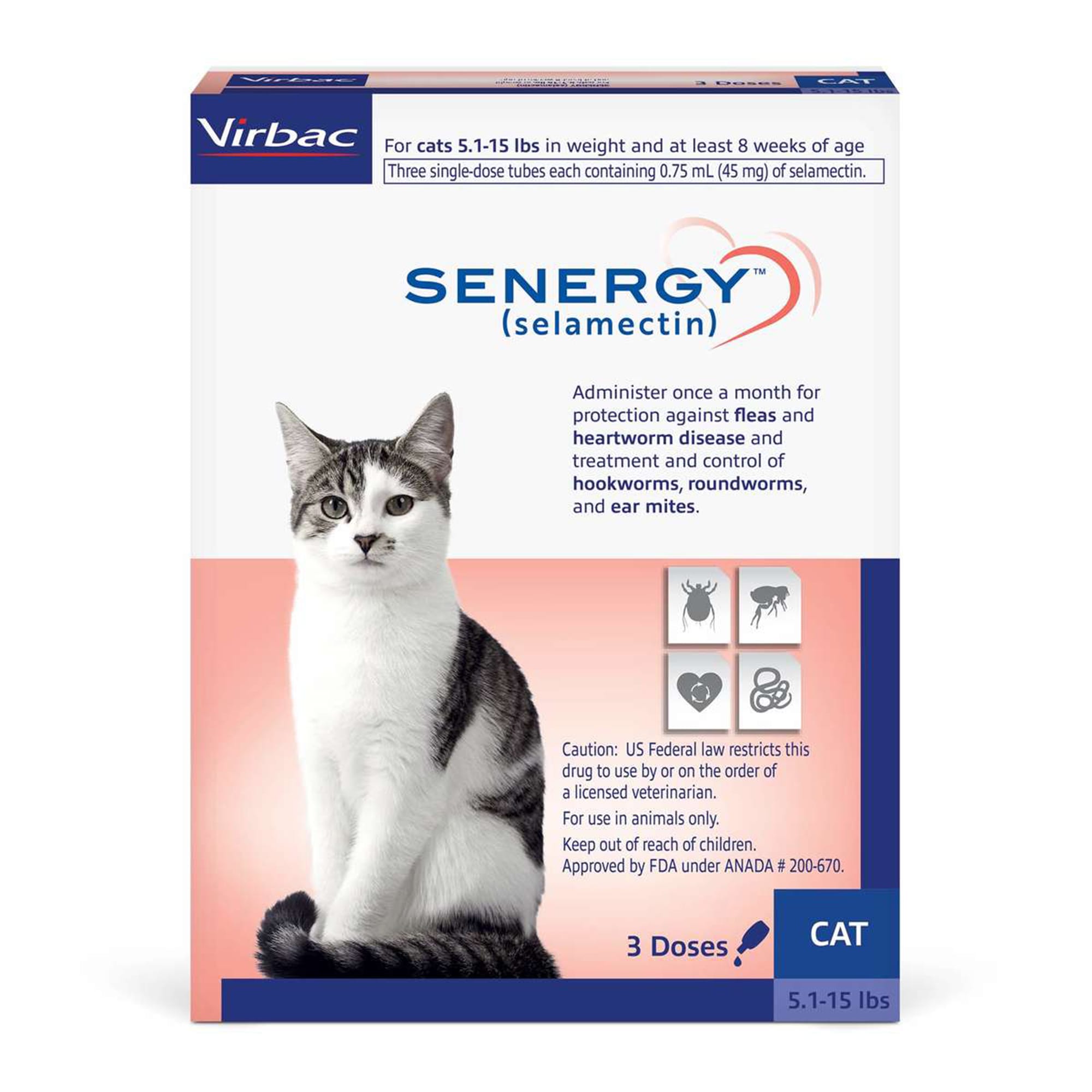 Petco ringworm clearance treatment for cats