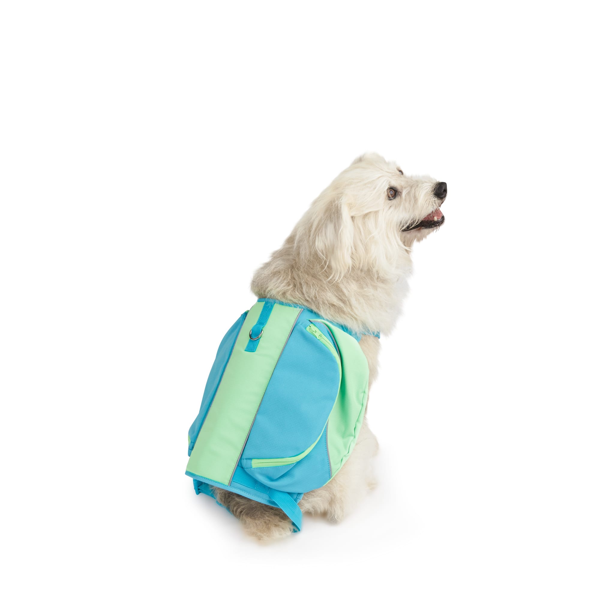 Puppy store backpack harness