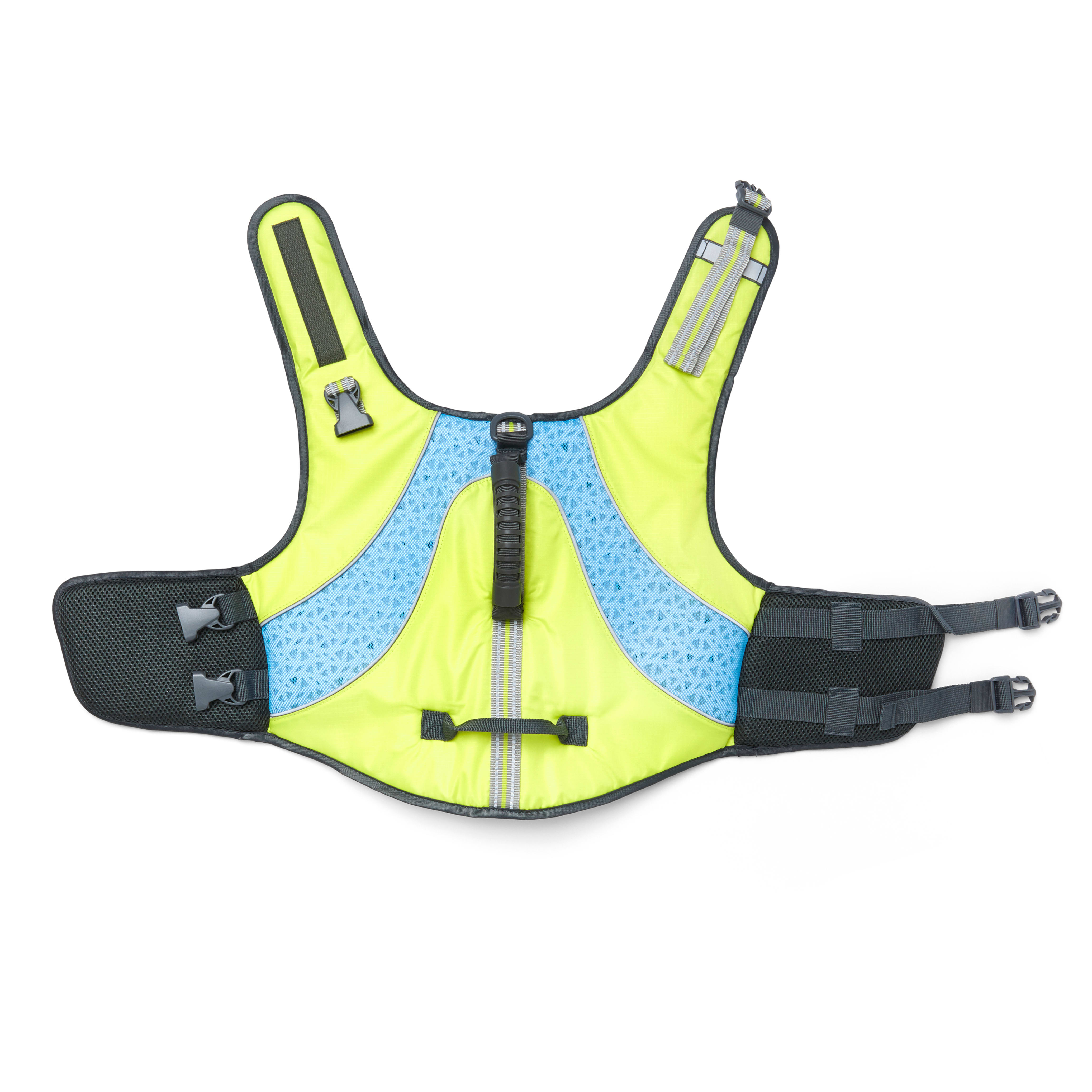 Petco best sale life vest