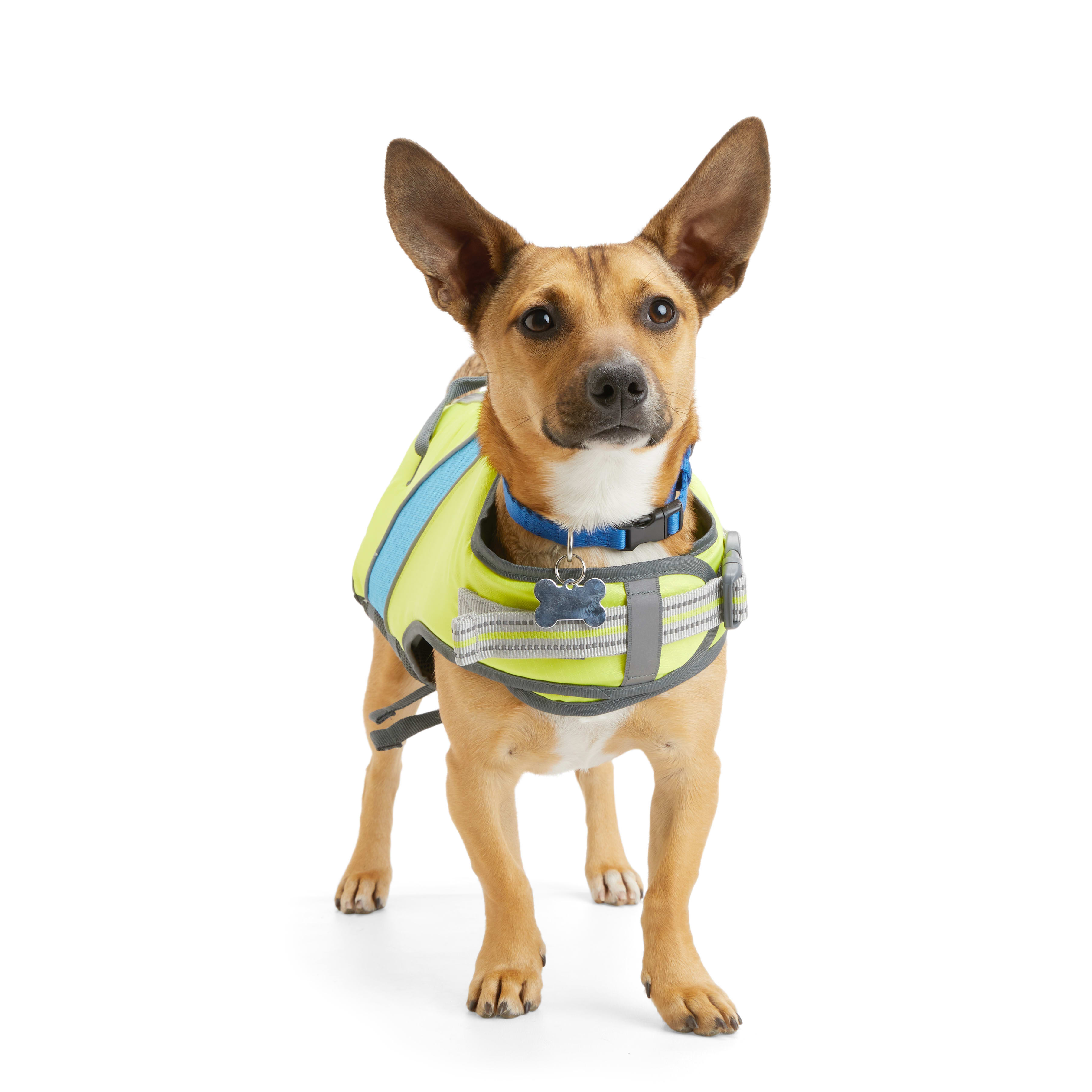 YOULY The Beach Bum Ultimate Dog Flotation Vest, X-Small