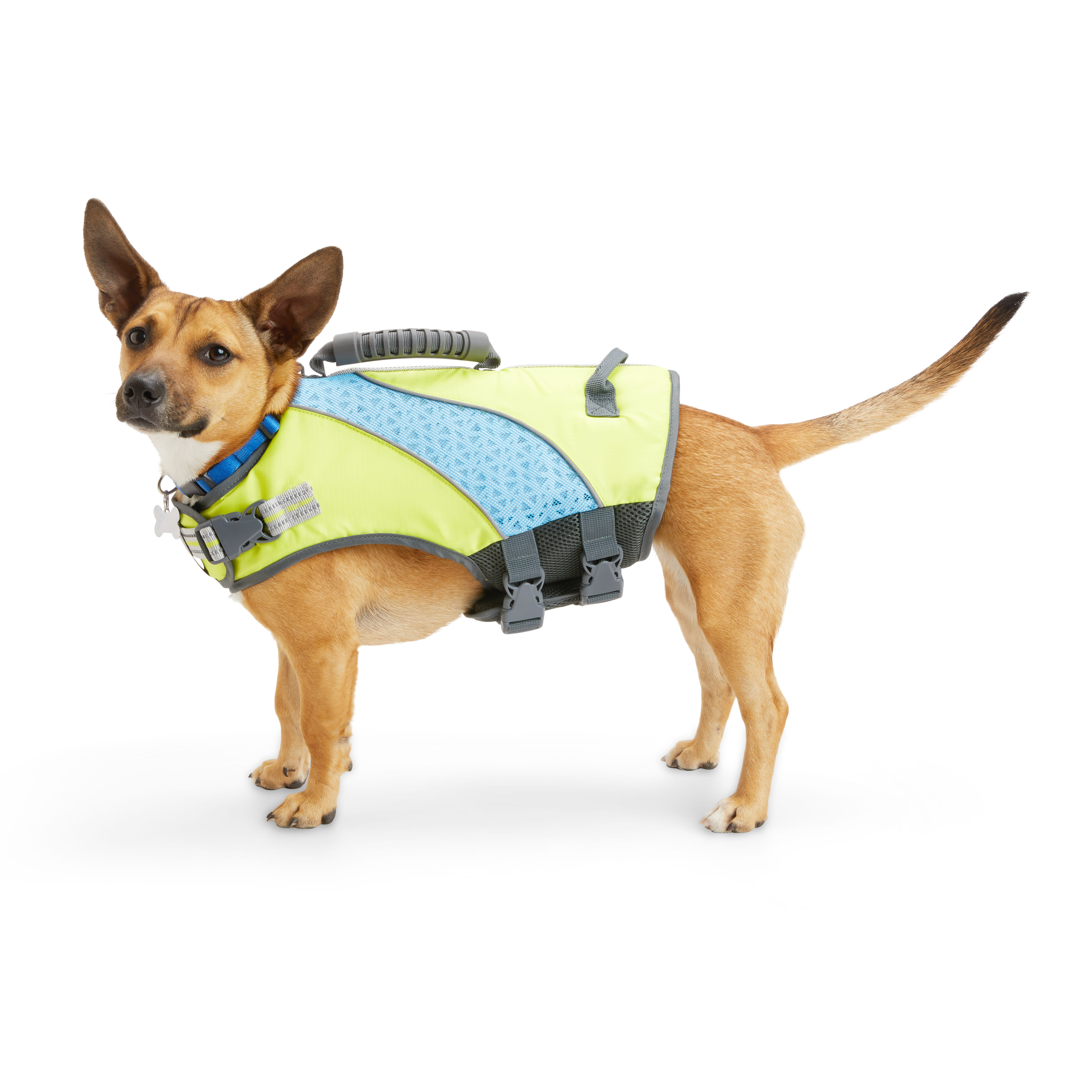 Petco dog shop life jacket