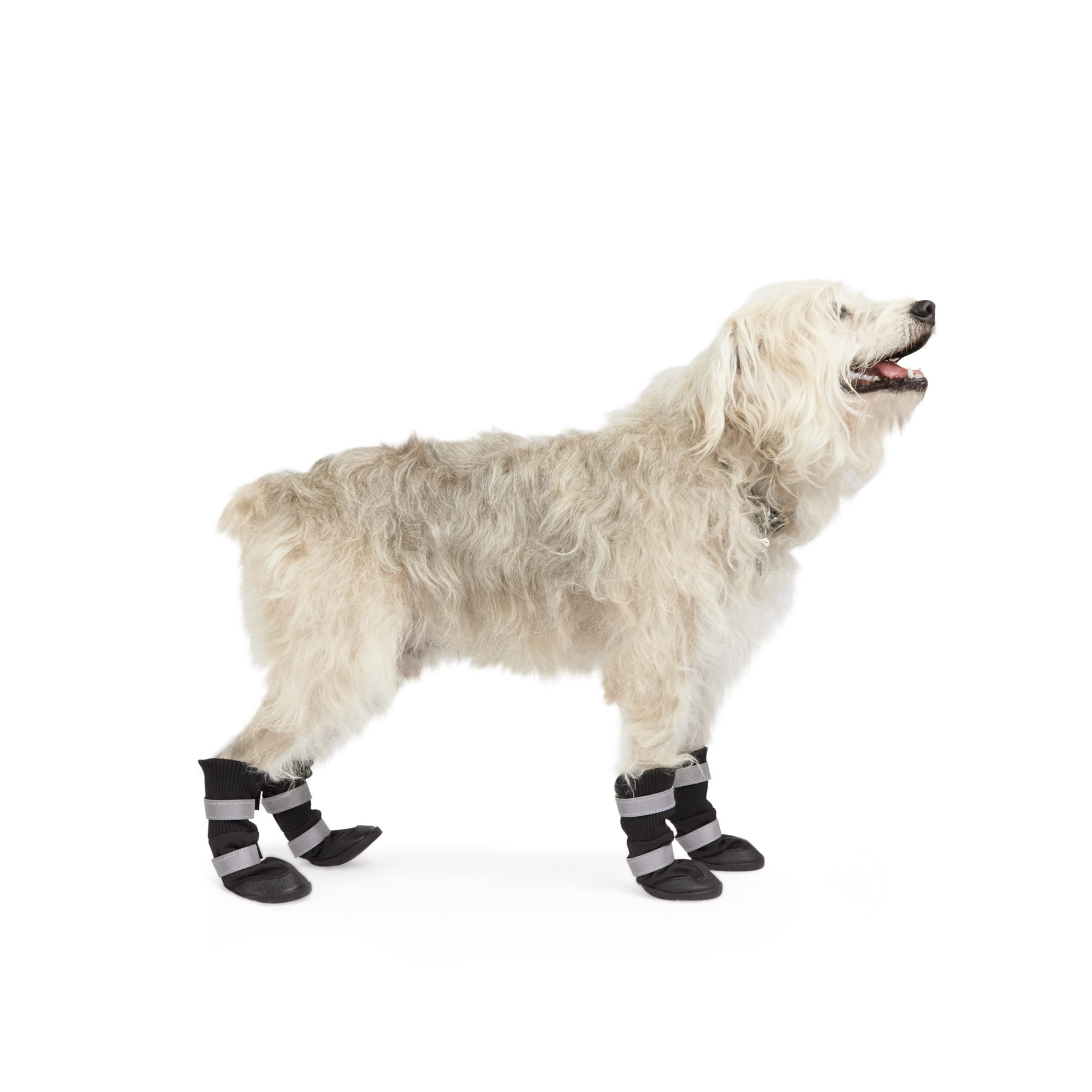 YOULY Blue Dip Sock for Dogs, Small