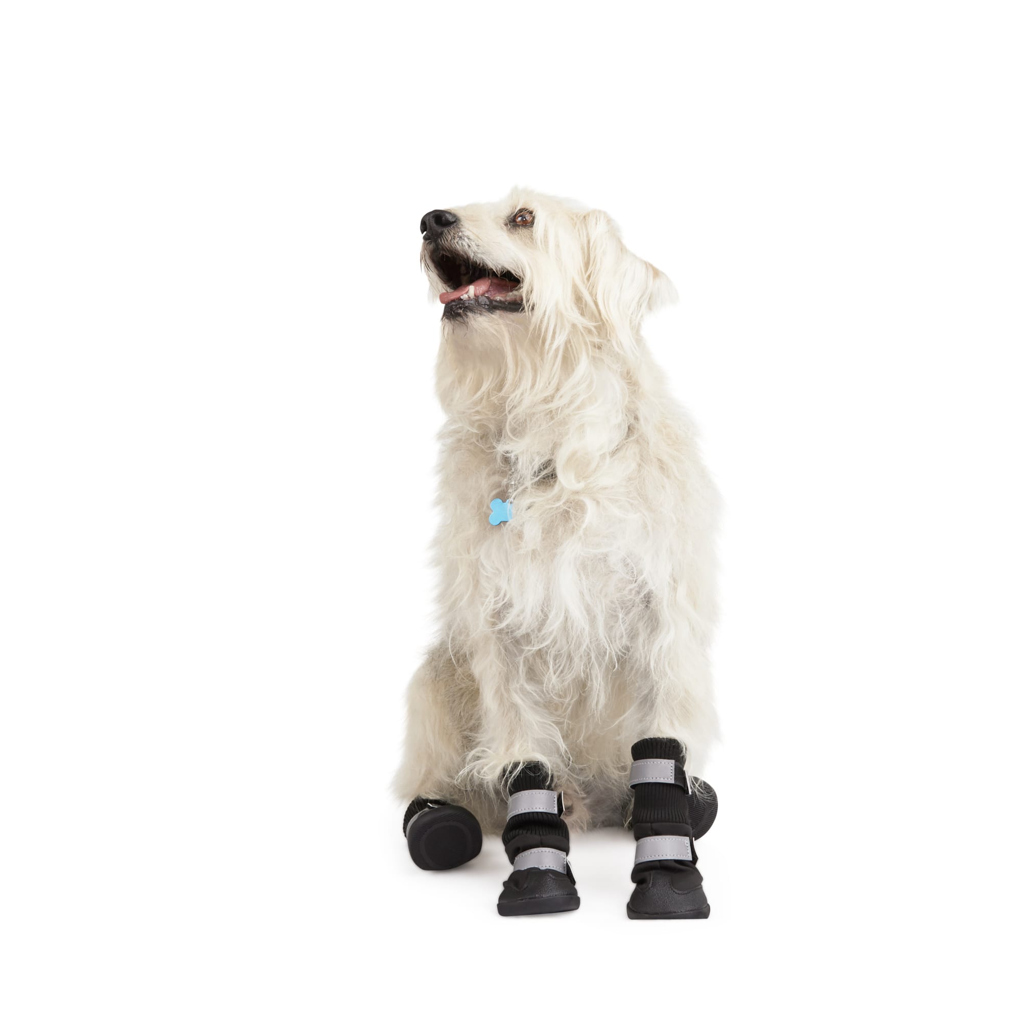 The 5 Best Dog Boots for Winter and More in 2024