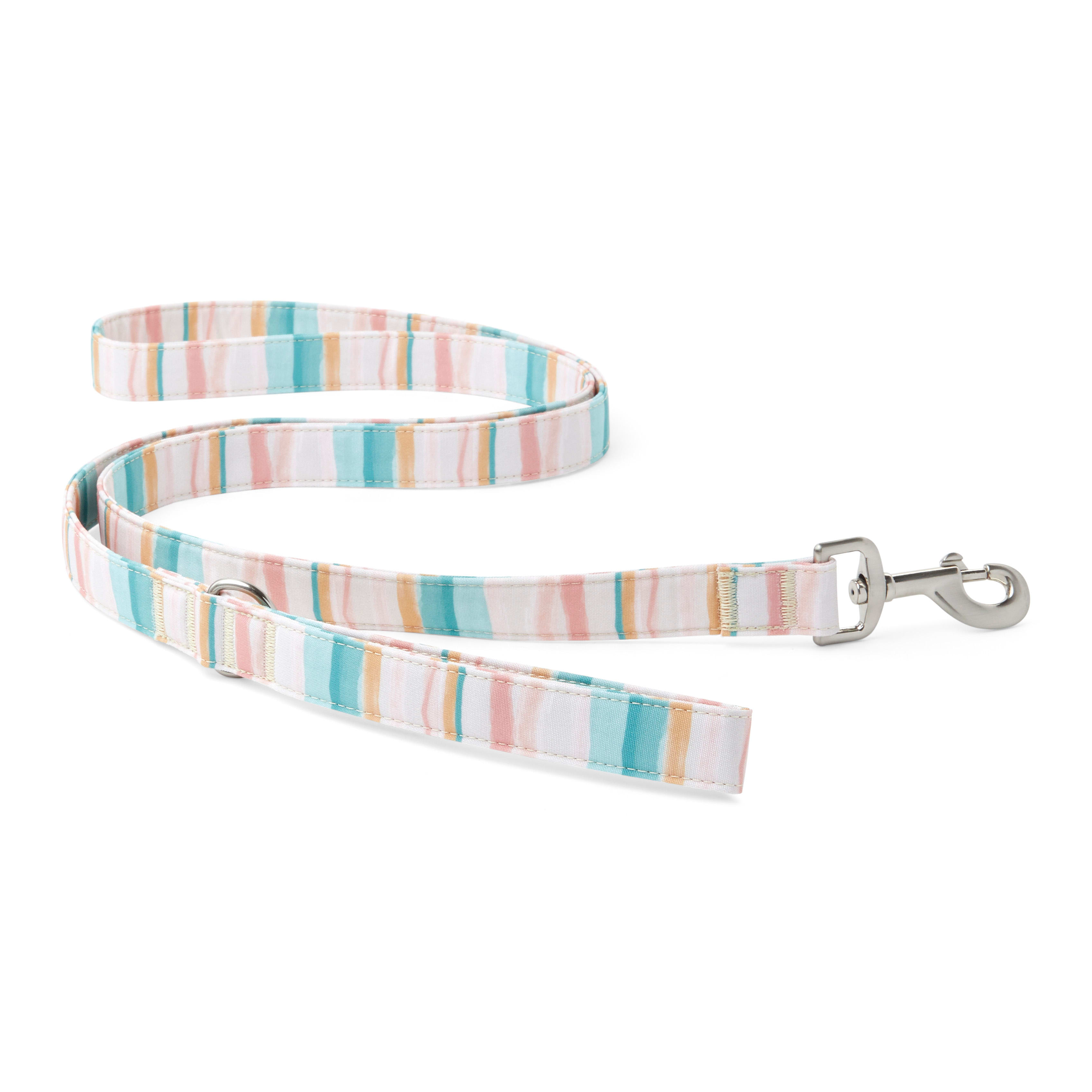 YOULY Adventurer Watercolor Striped Dog Leash 6 ft
