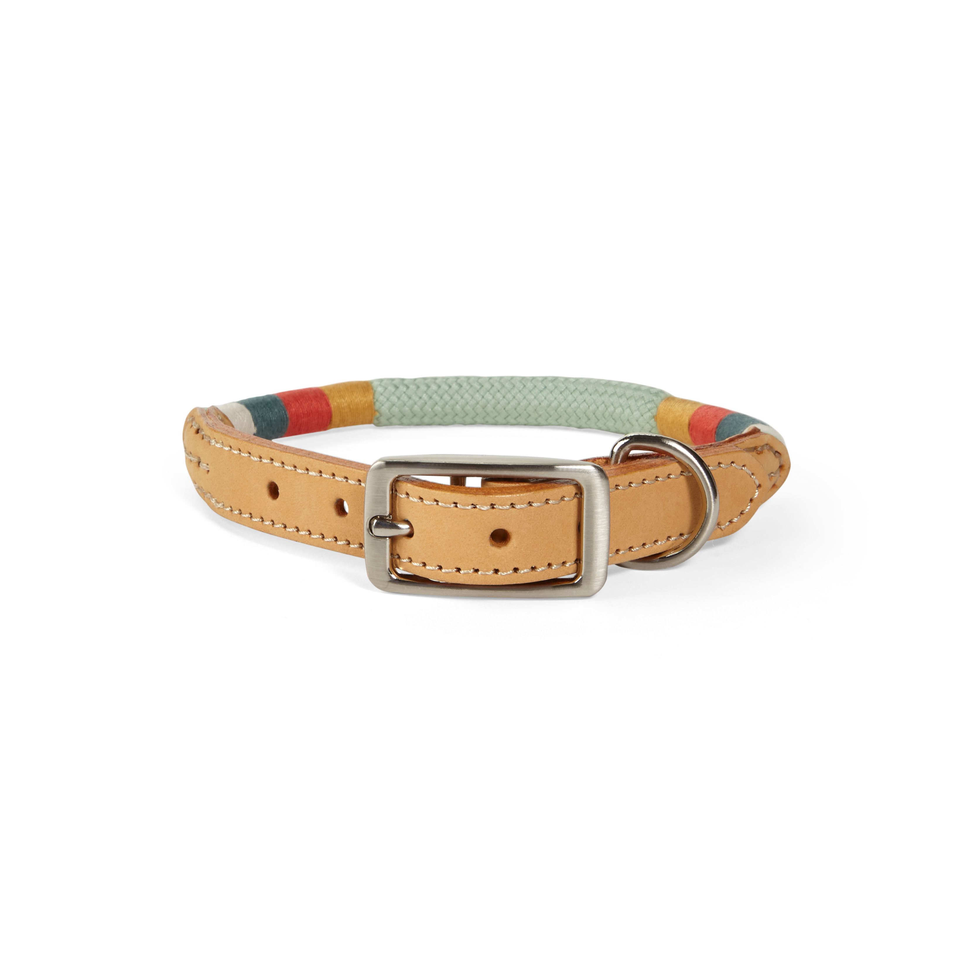 Petco rolled 2025 leather collar