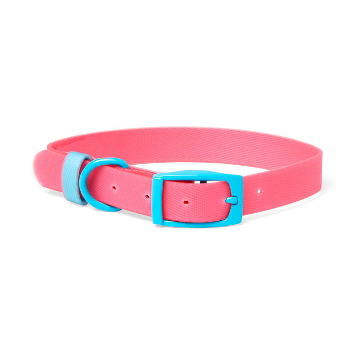 YOULY The Extrovert Water-Resistant Pink & Blue Colorblocked Dog Collar ...