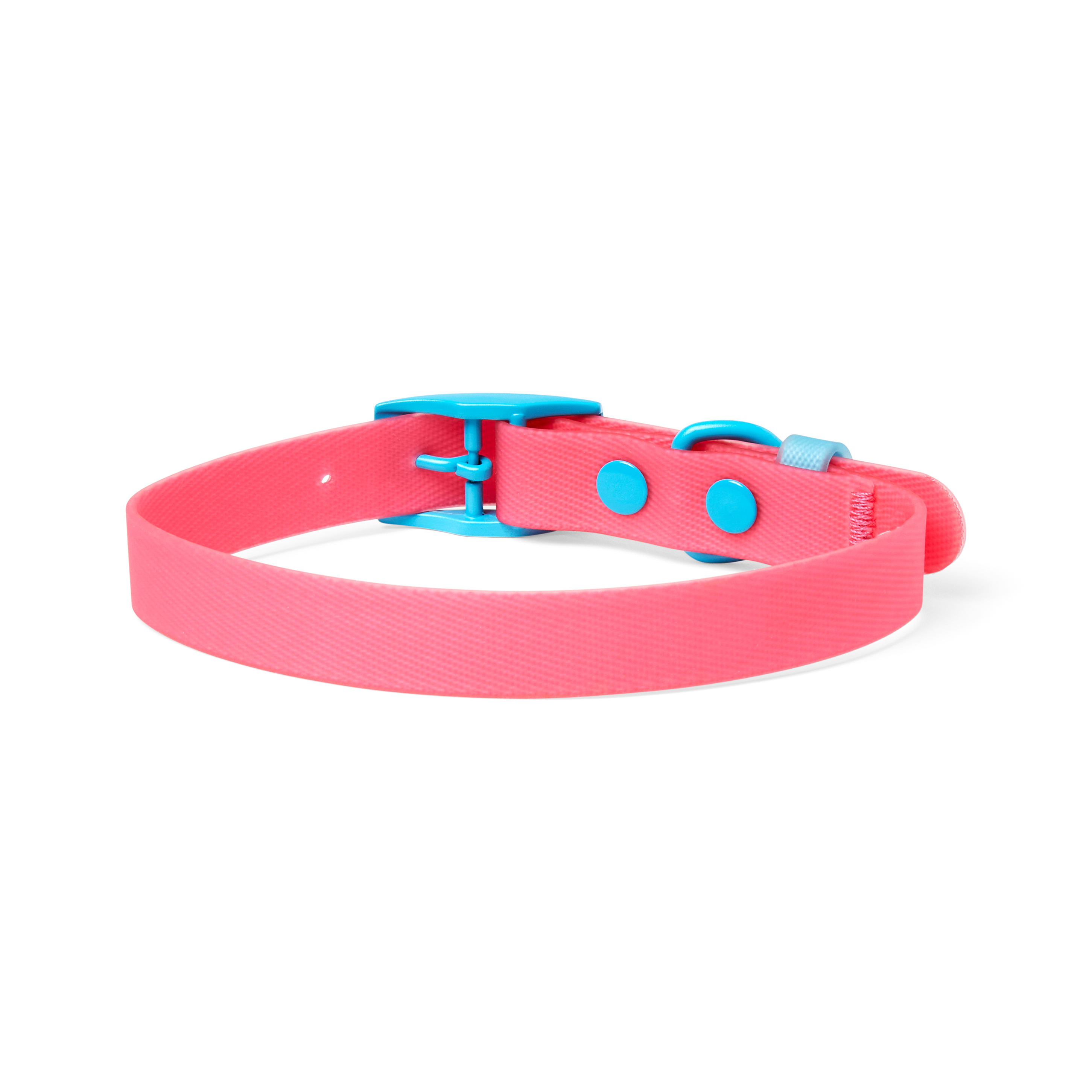 YOULY The Extrovert Water-Resistant Pink & Blue Colorblocked Dog Collar,  Small