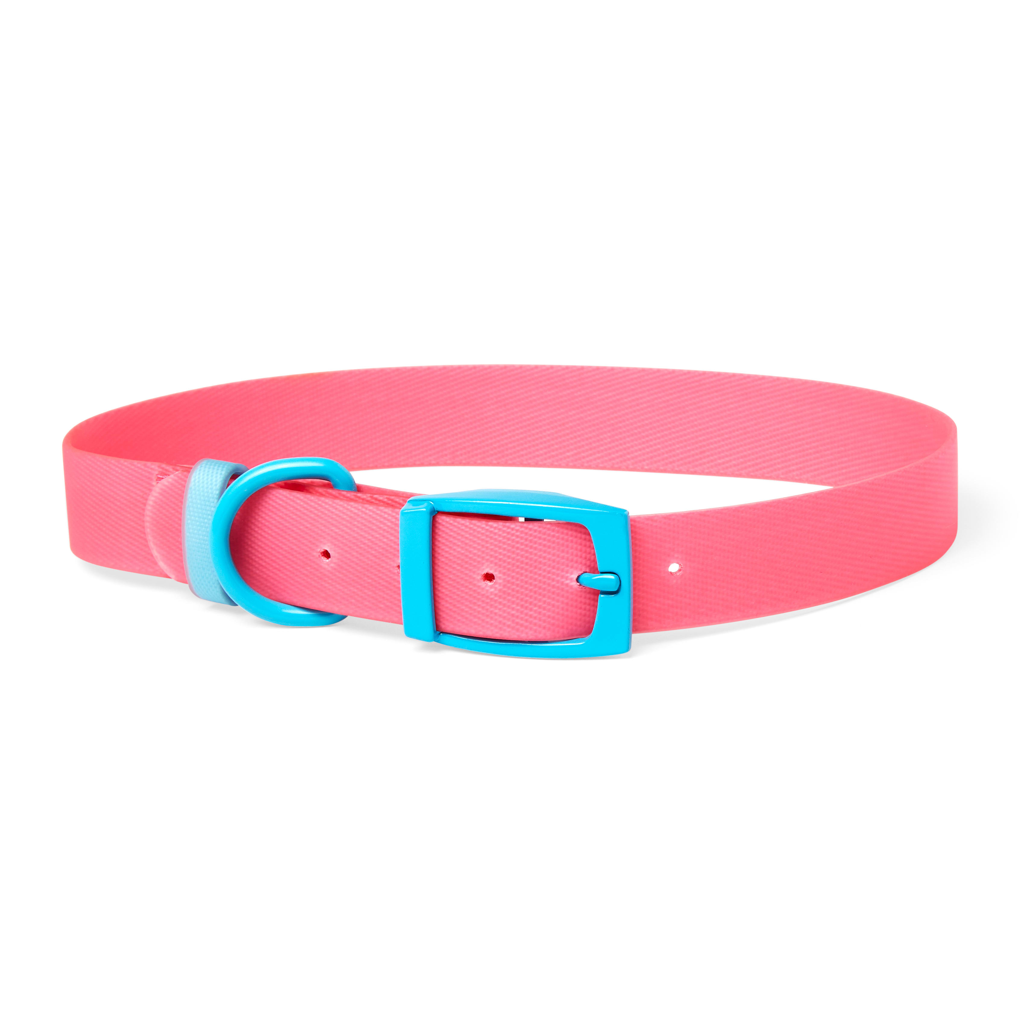 Viola Pink on Light Blue Dog Collar