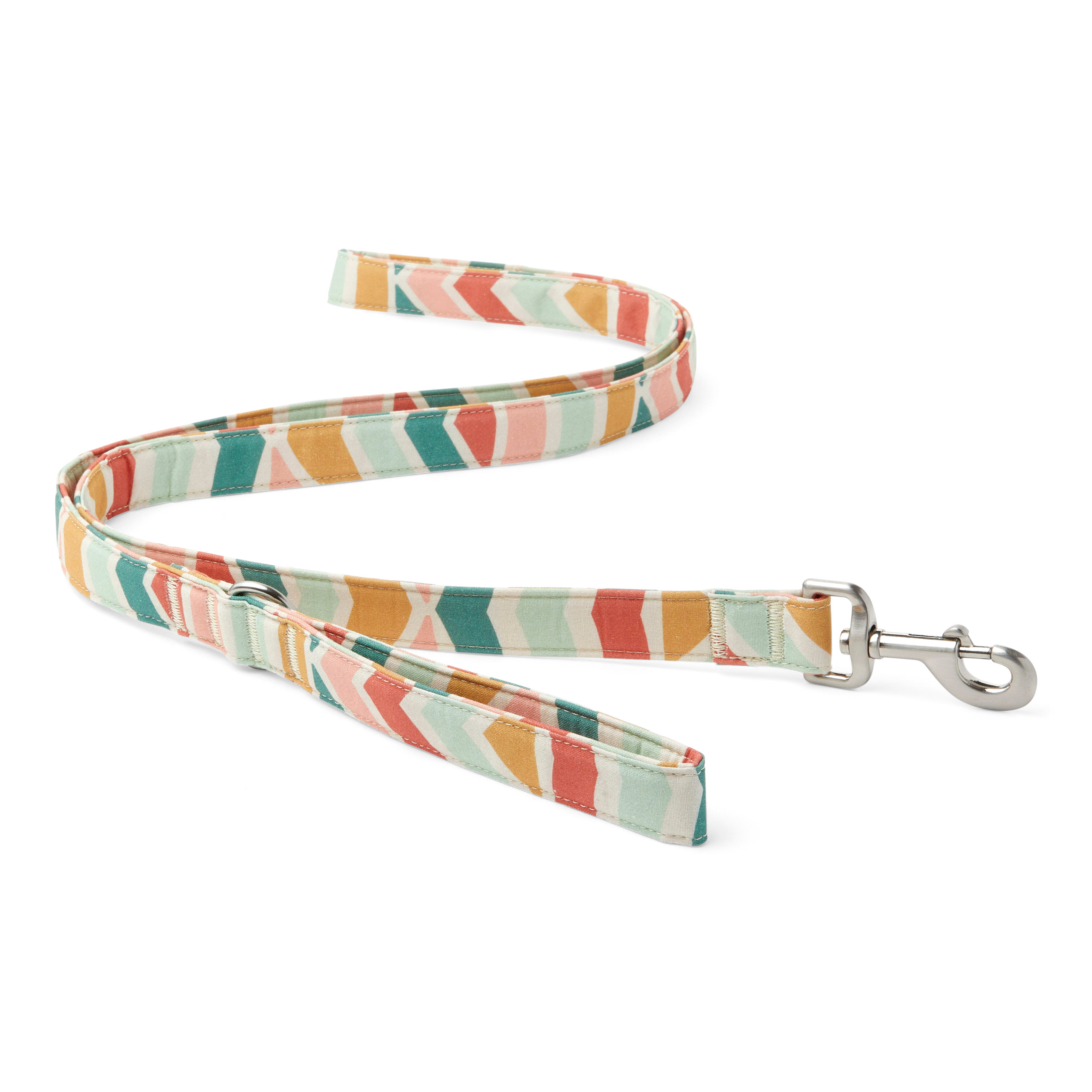YOULY The Wanderer Rainbow Striped Dog Leash, 6 ft. | Petco