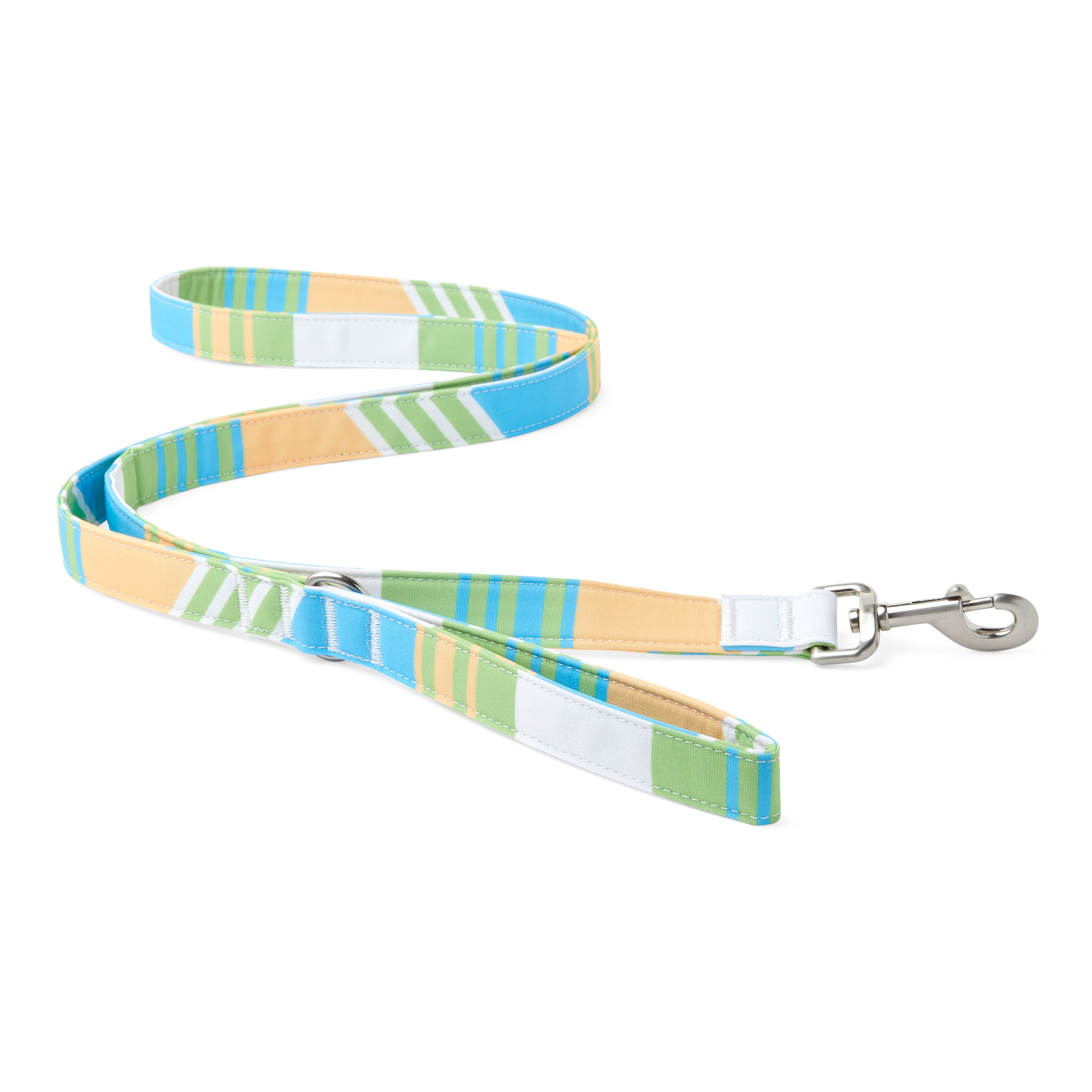 YOULY The Champion Multicolor Striped Dog Leash, 6 ft. | Petco