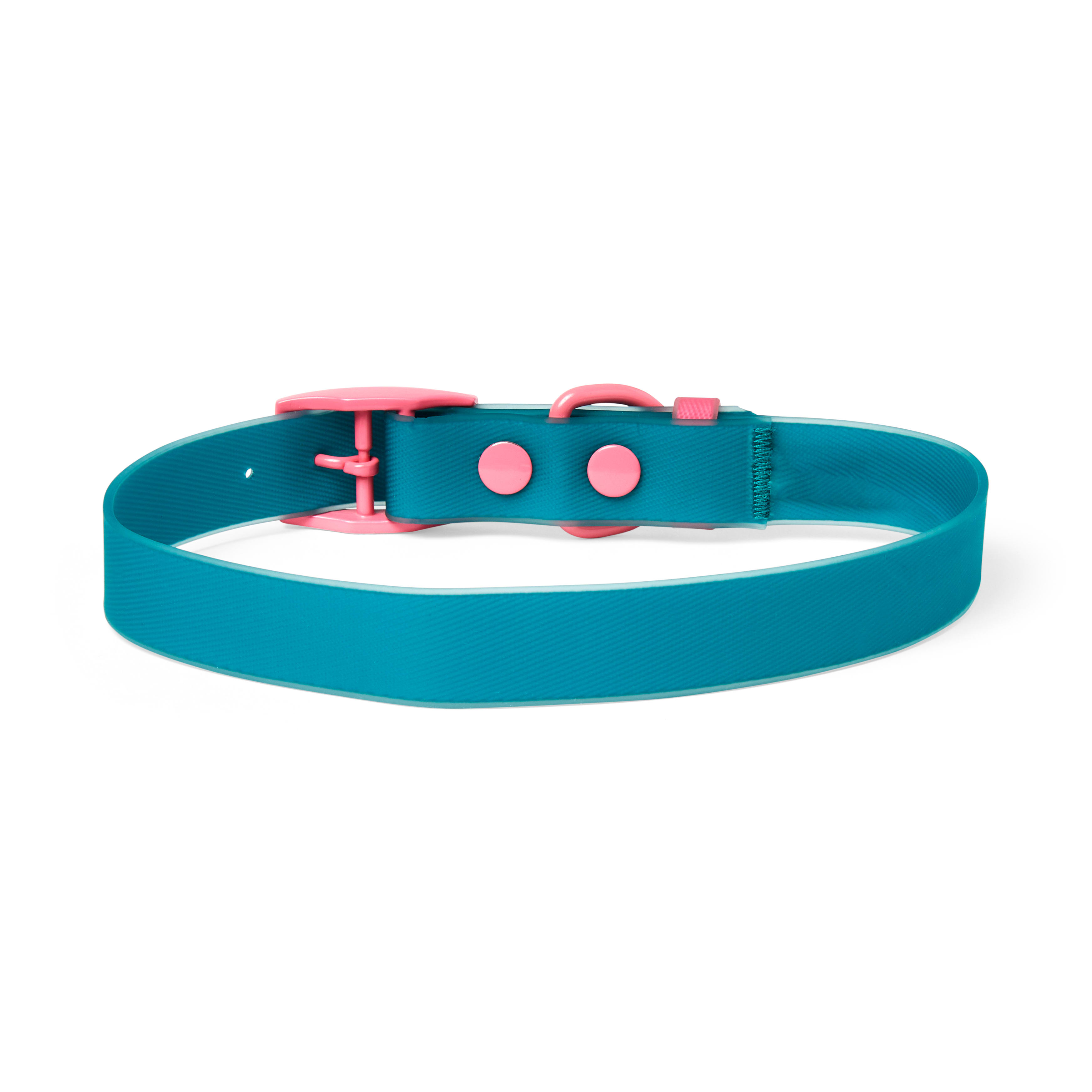 Water Dog Collar Aqua Blue, 23