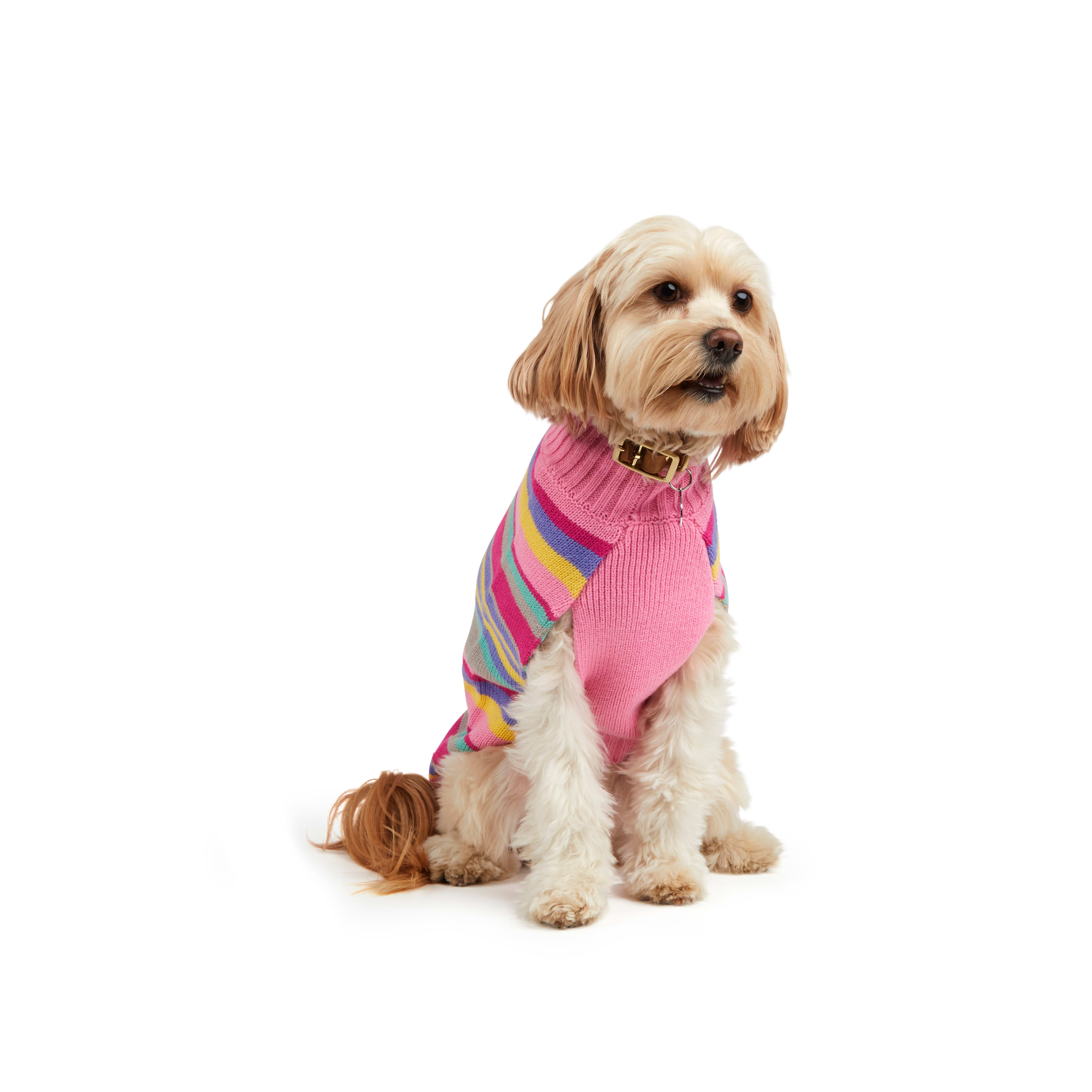 pink dog sweater