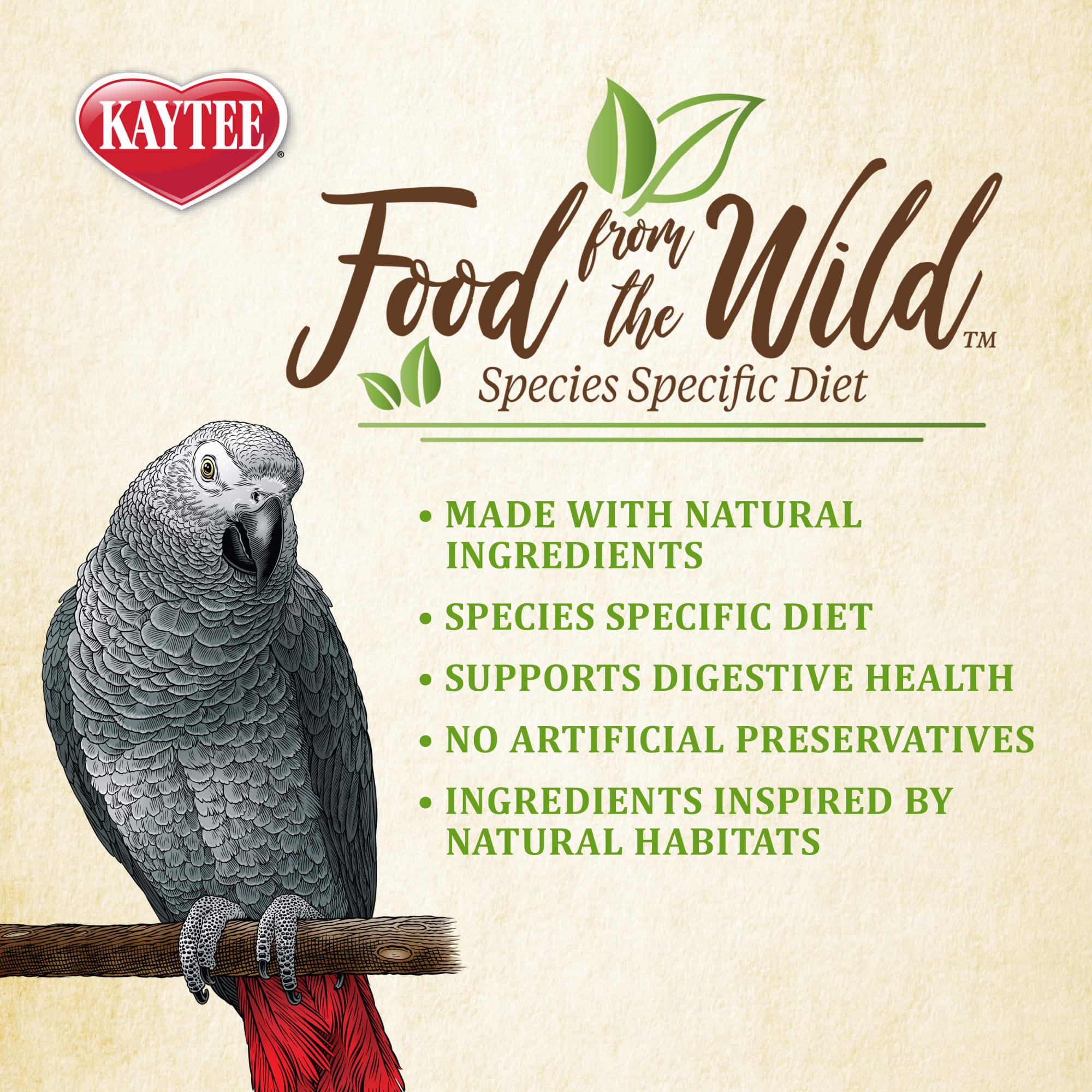 Wild parrot food sales