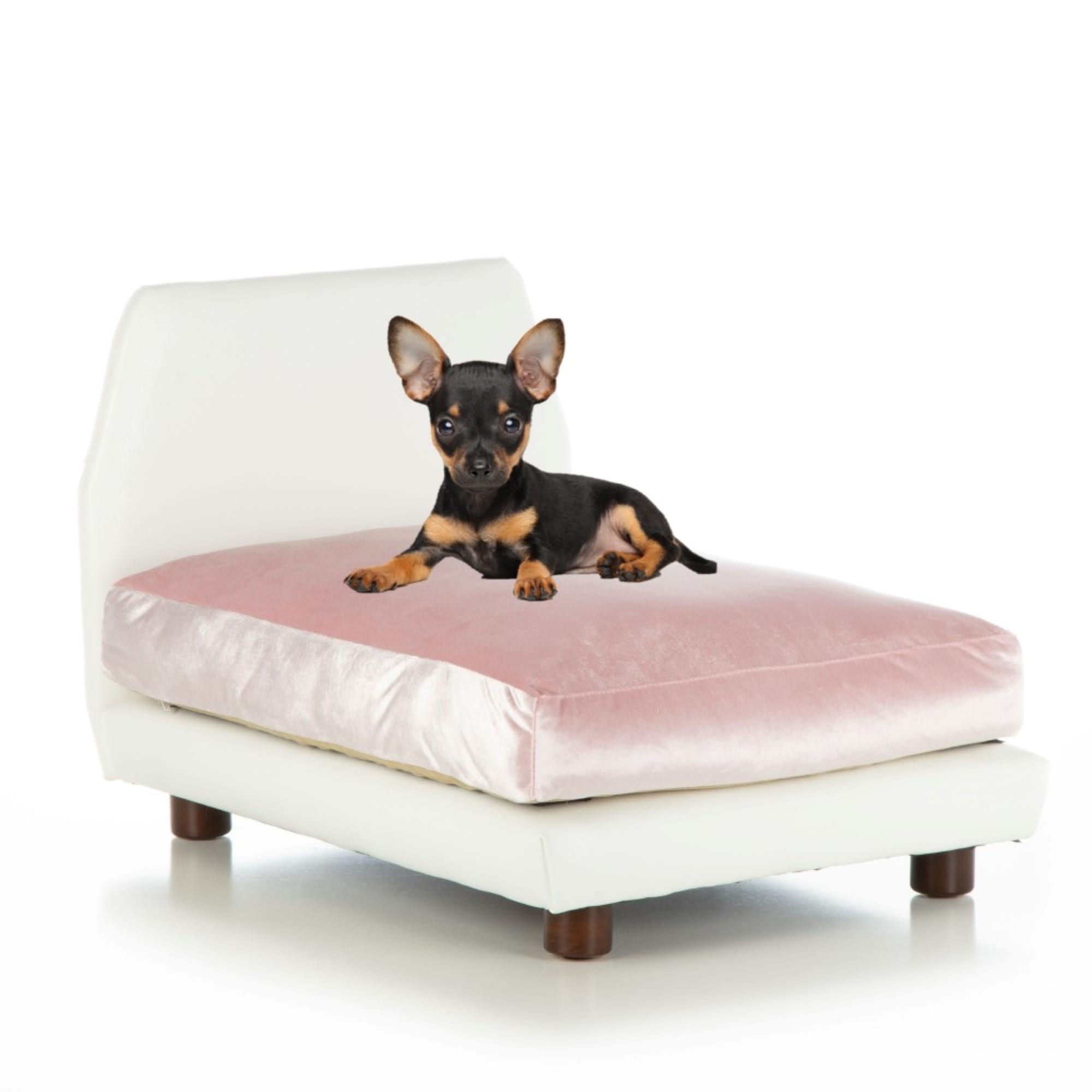 Club Nine Pets Lido Orthopedic Dog Bed, 26" L X 37" W X 18" H, Pink Petco