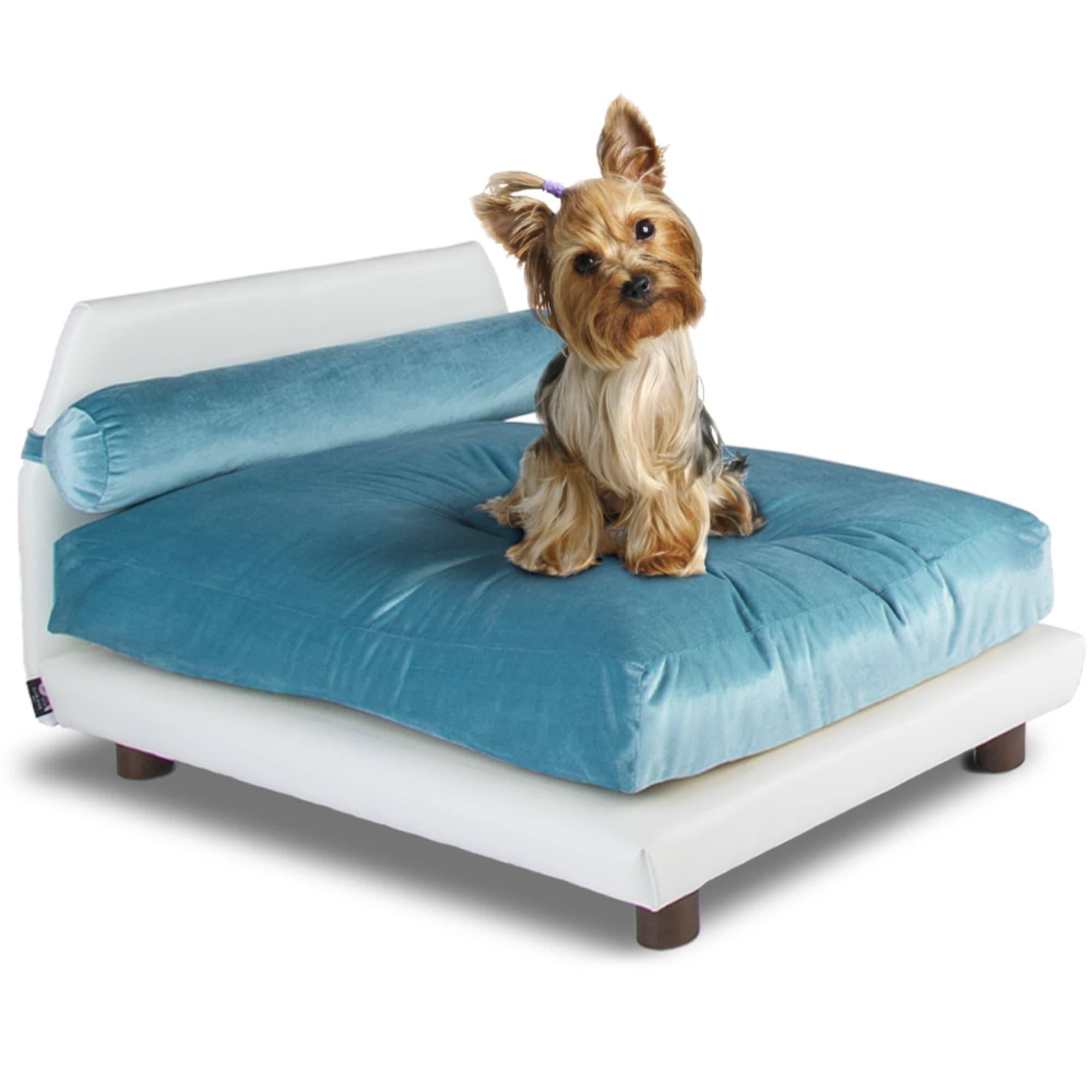 Club Nine Pets Lido Orthopedic Dog Bed, 22" L X 29" W X 18" H, Aqua Petco